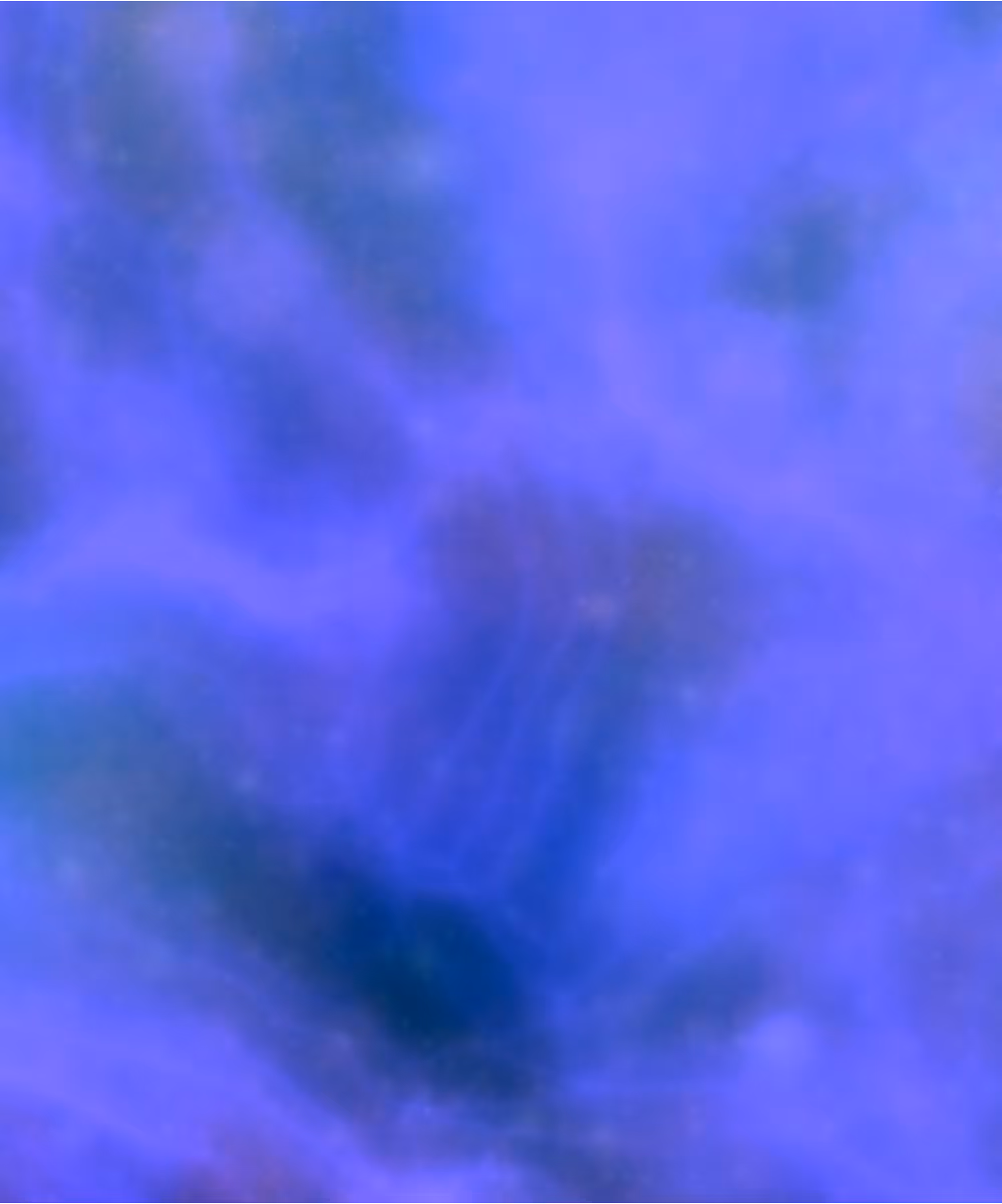 Pigments #375