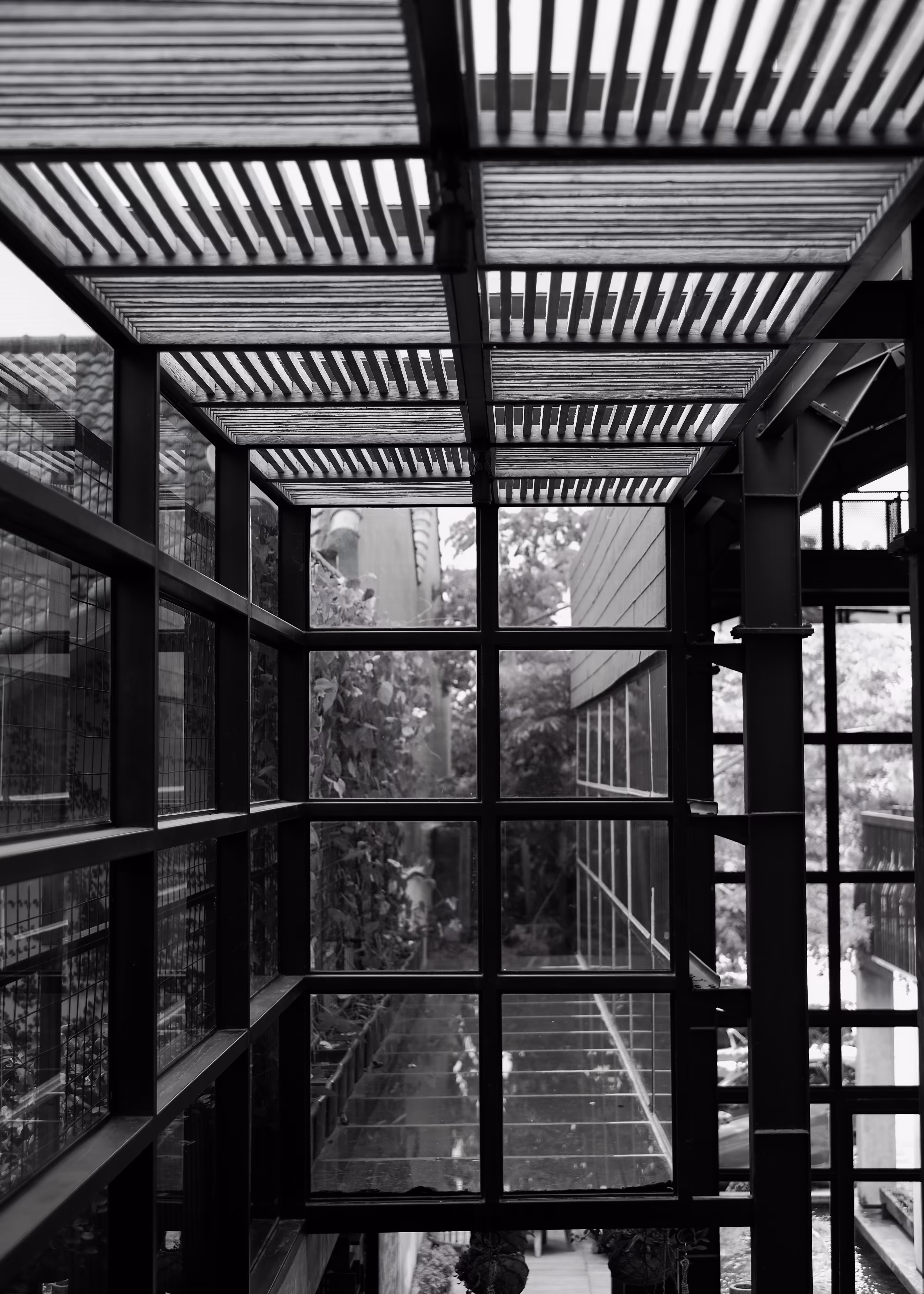 The Window - 2022