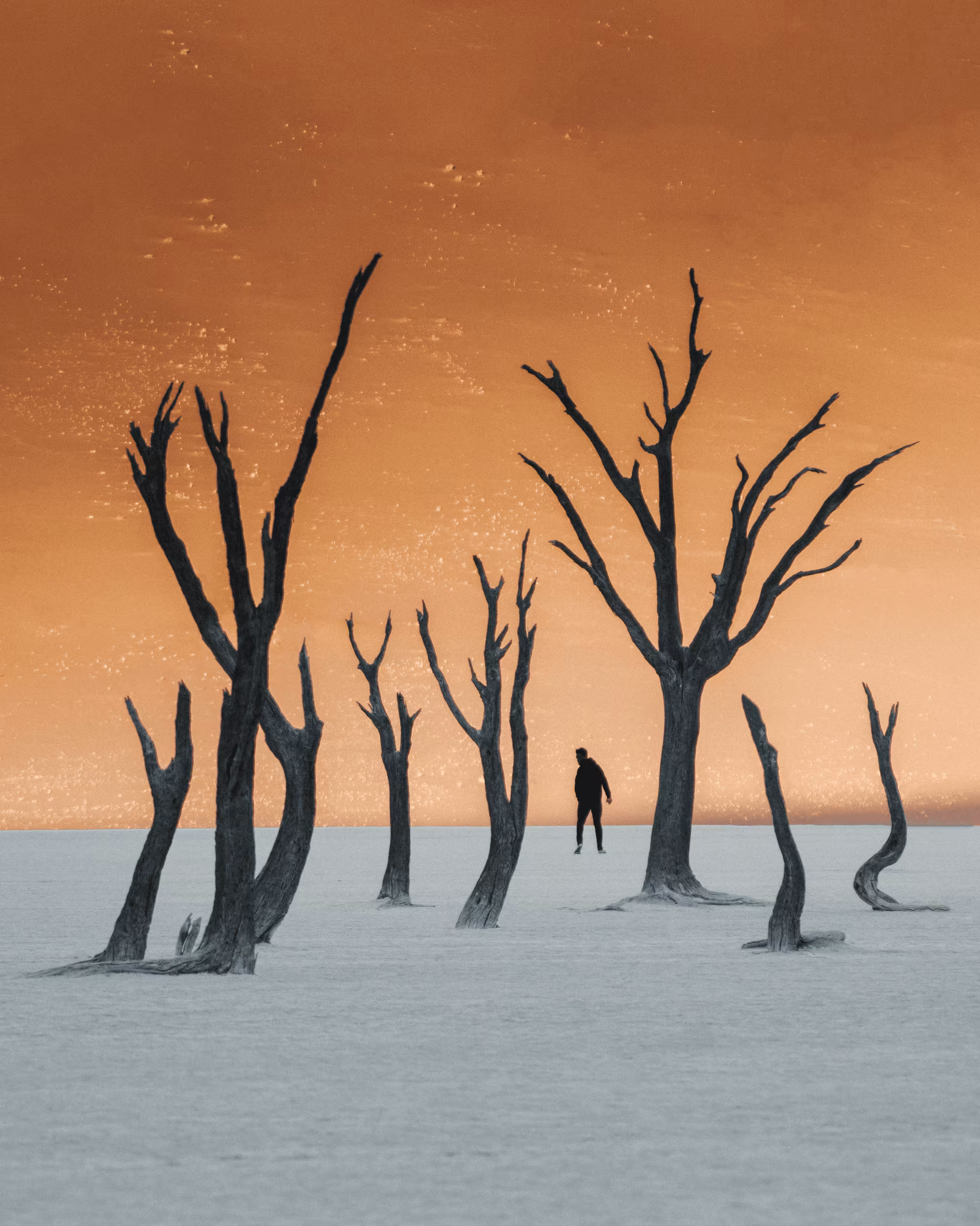 #14. Another World