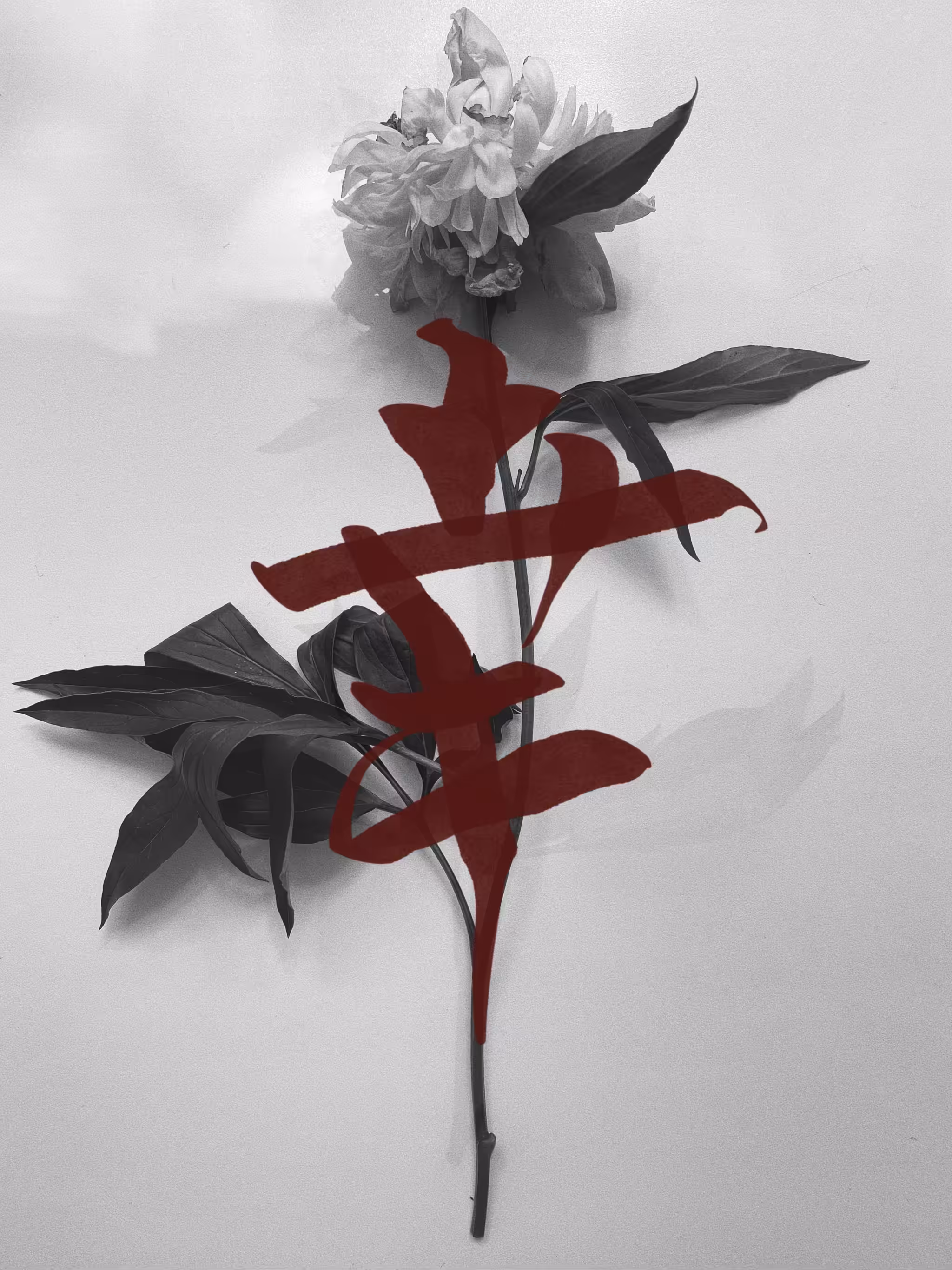 Flower VII
