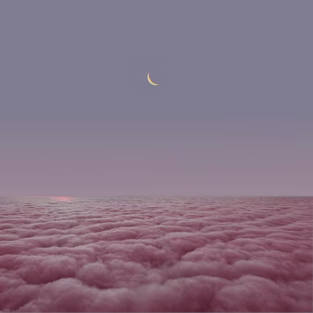 The.pink.hood Above