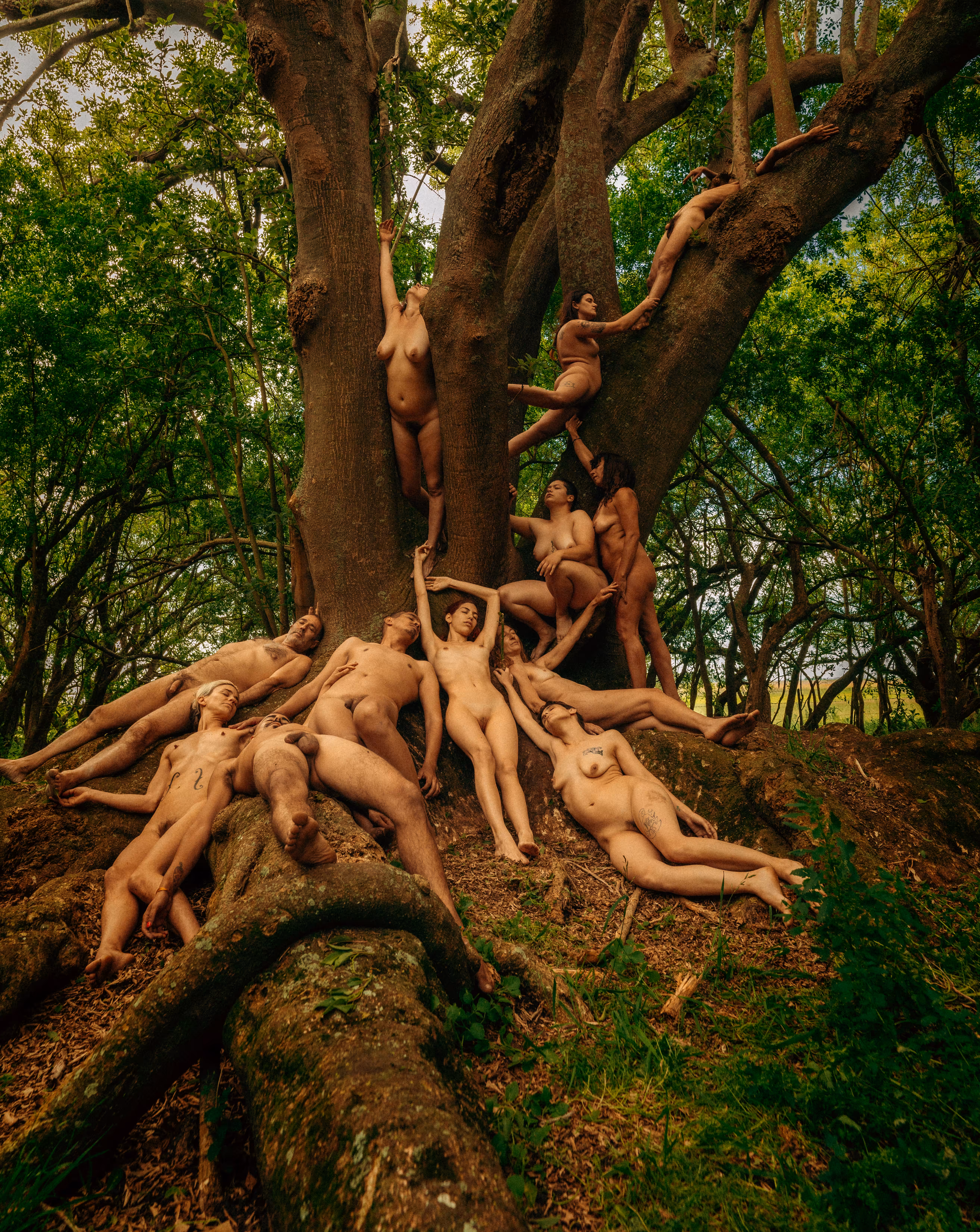 Tree of Life 