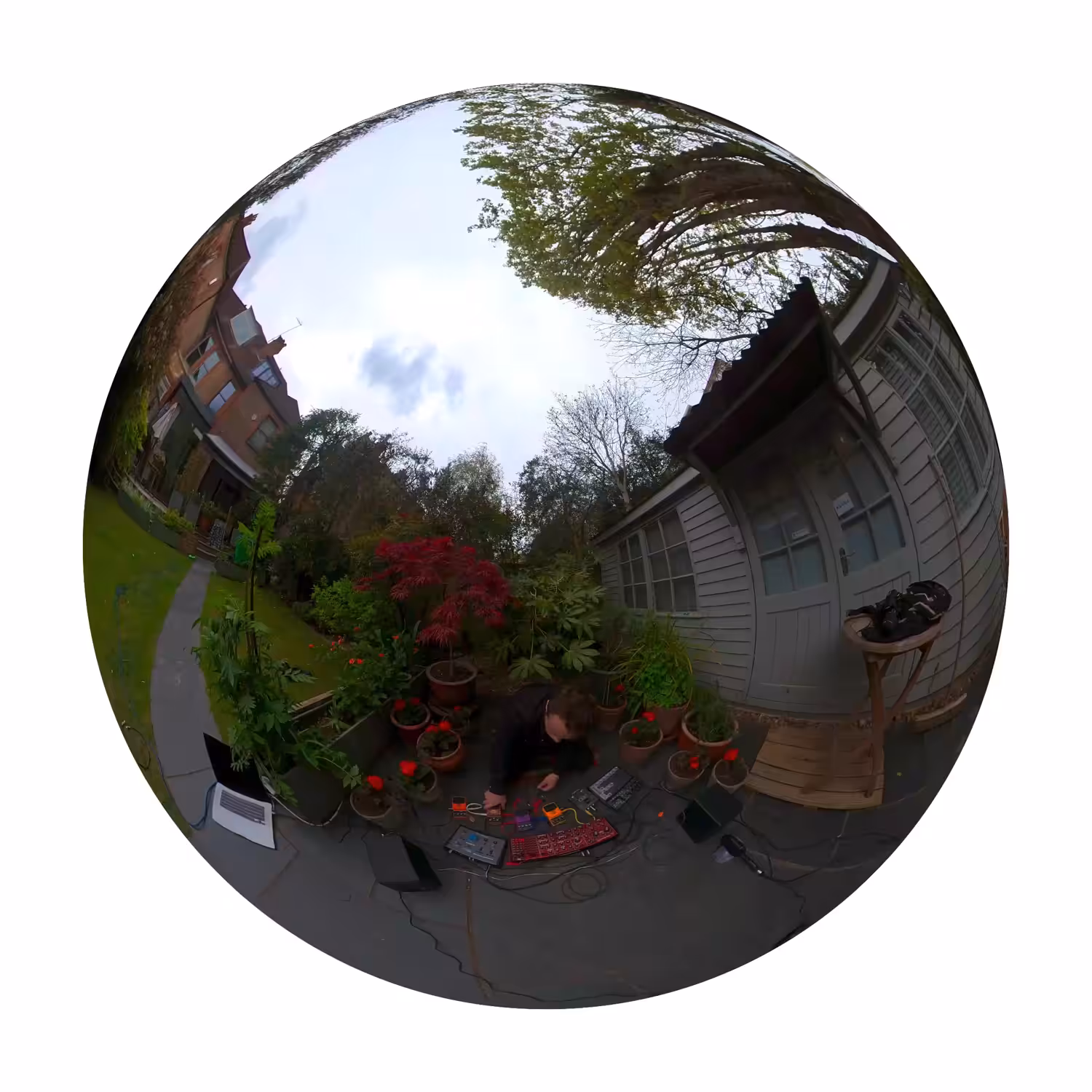 The Garden of the Blurred House