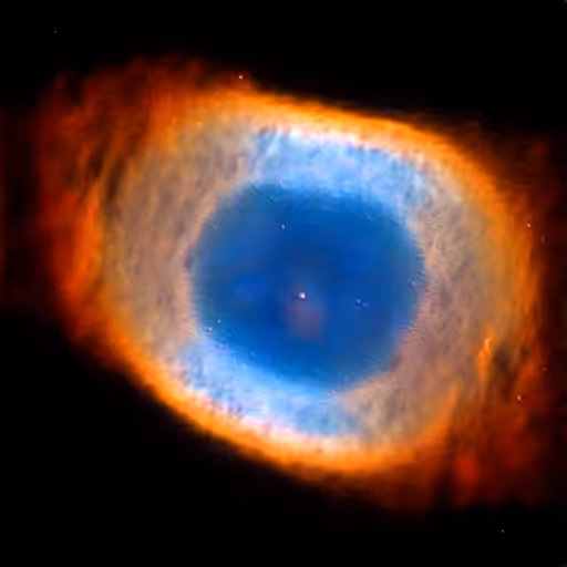 Nebula Does Not Exist #732-7321