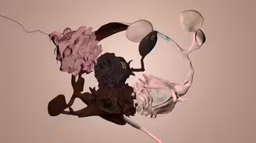 A Rose by Any Other Name #1