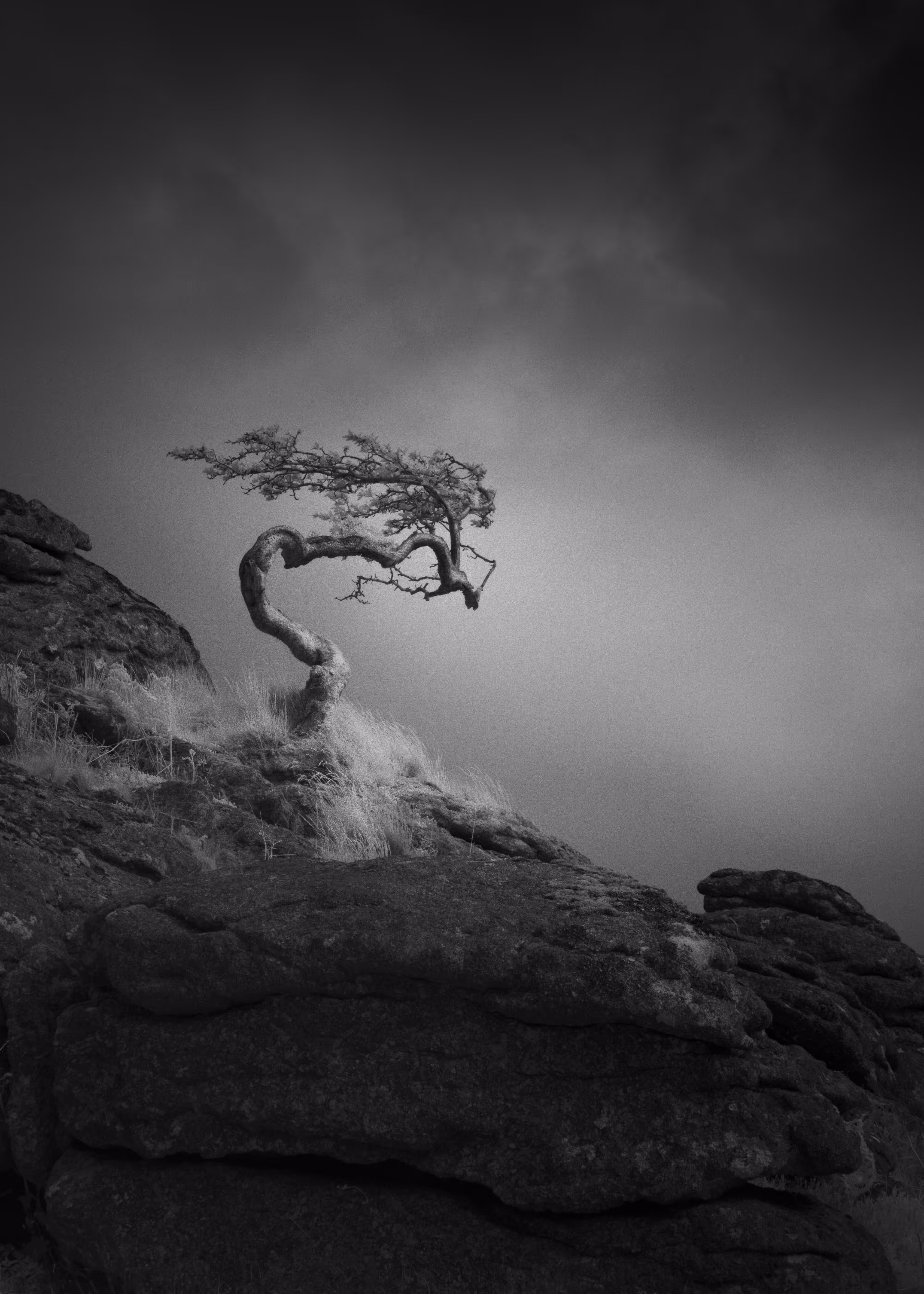 THE WITCH - ANOTHER WORLD 3