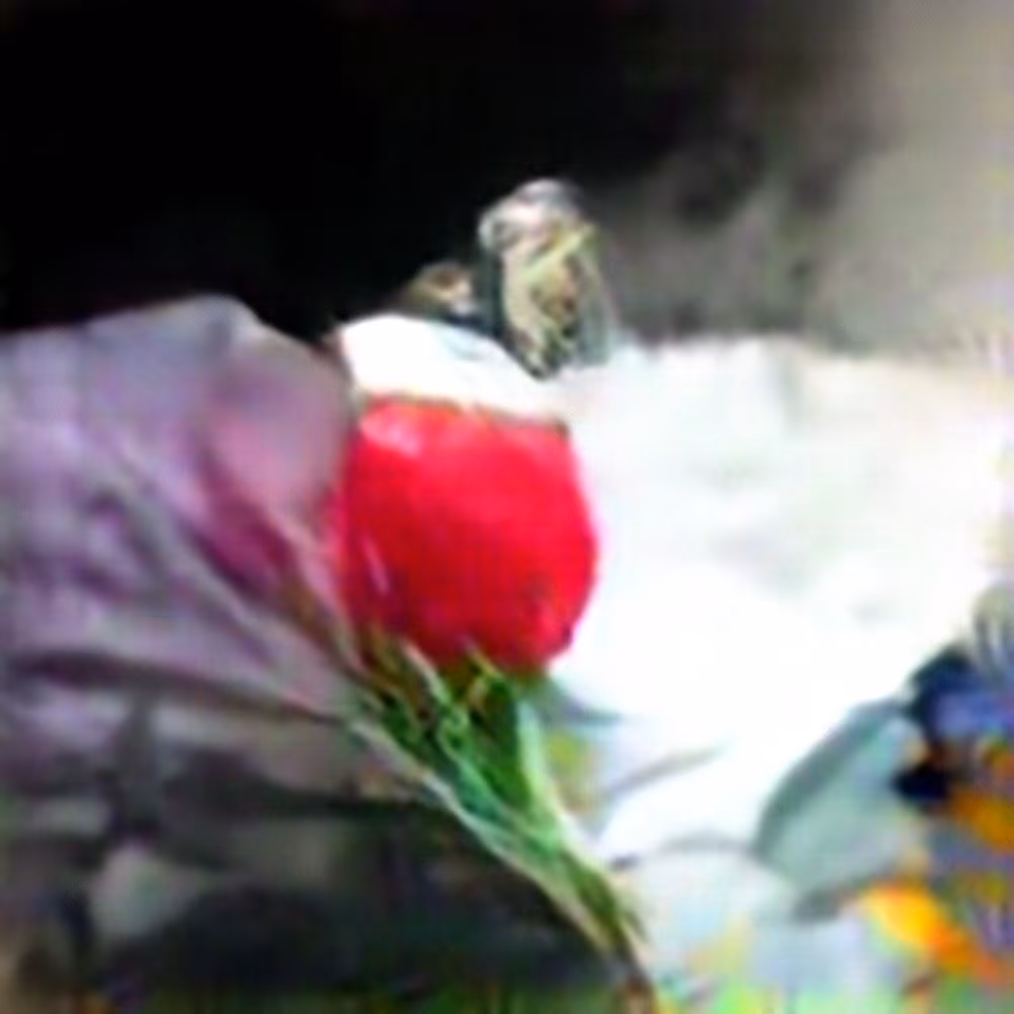 Evolved Hallucinations: Rose #3 (Corpus: Still Life Objects of the Renaissance)