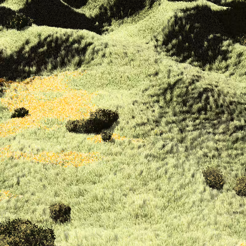 California Hills in Late Sun #39