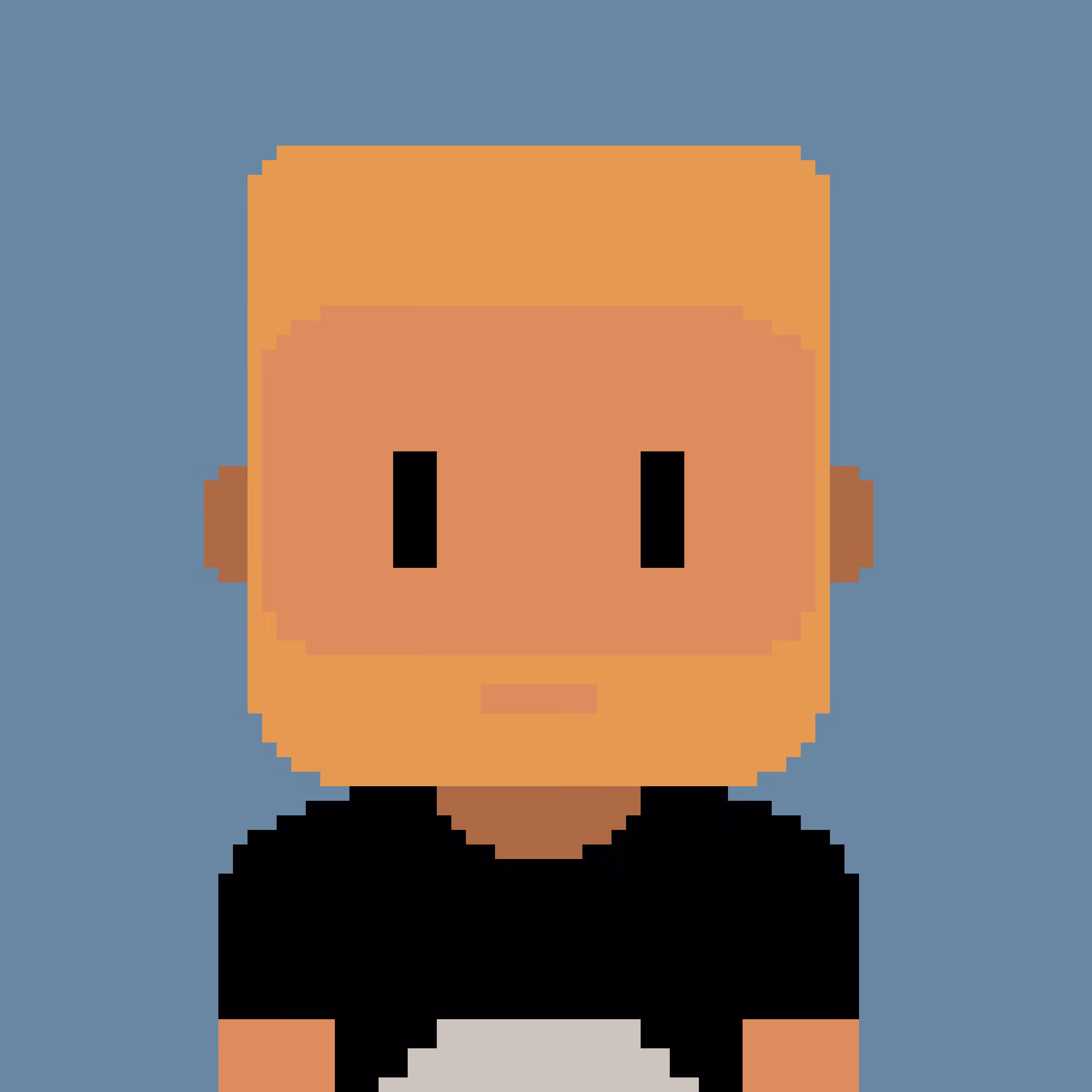 Meebit #10641 Portrait