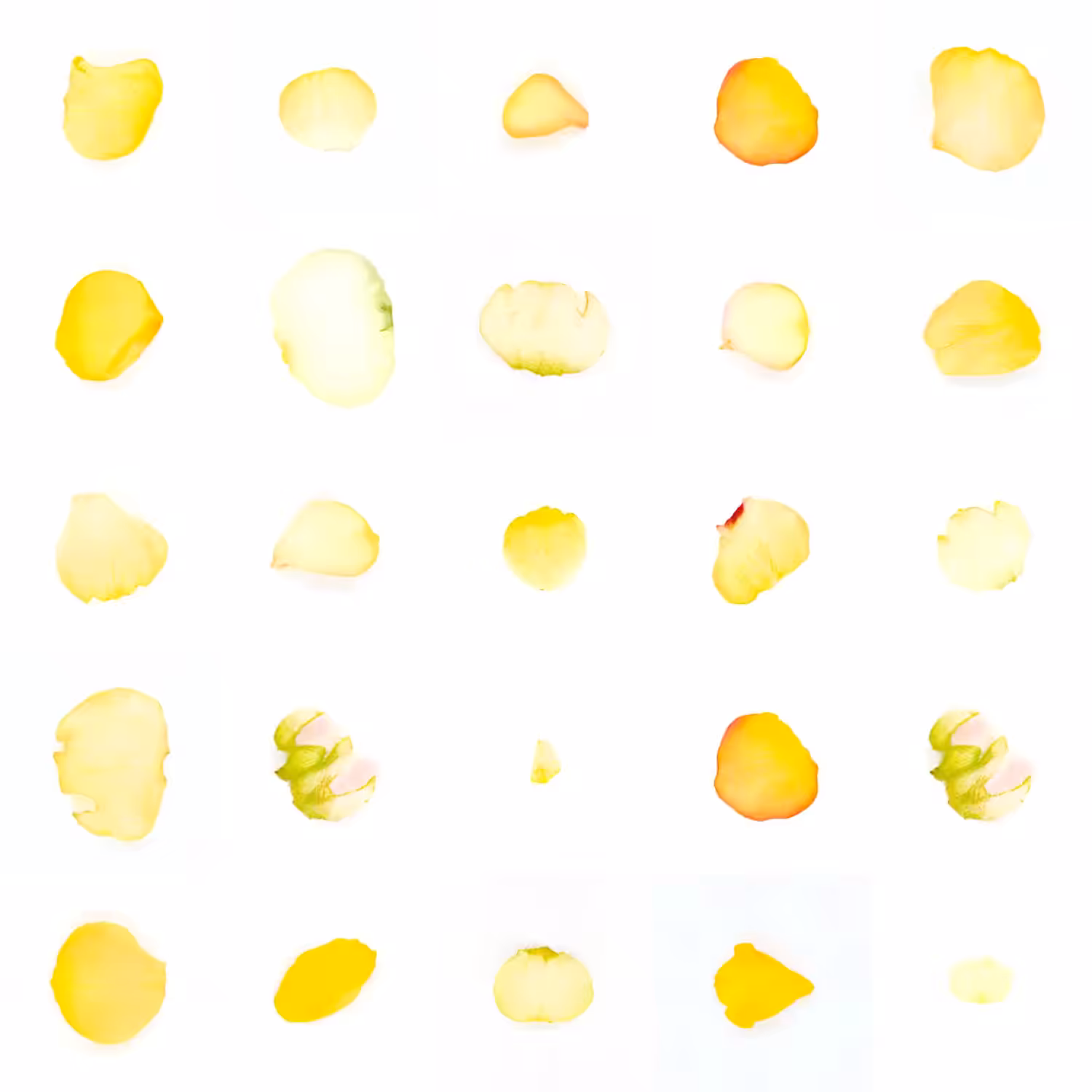 Infinite Petals 5x5#563