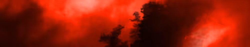perception red 38-16