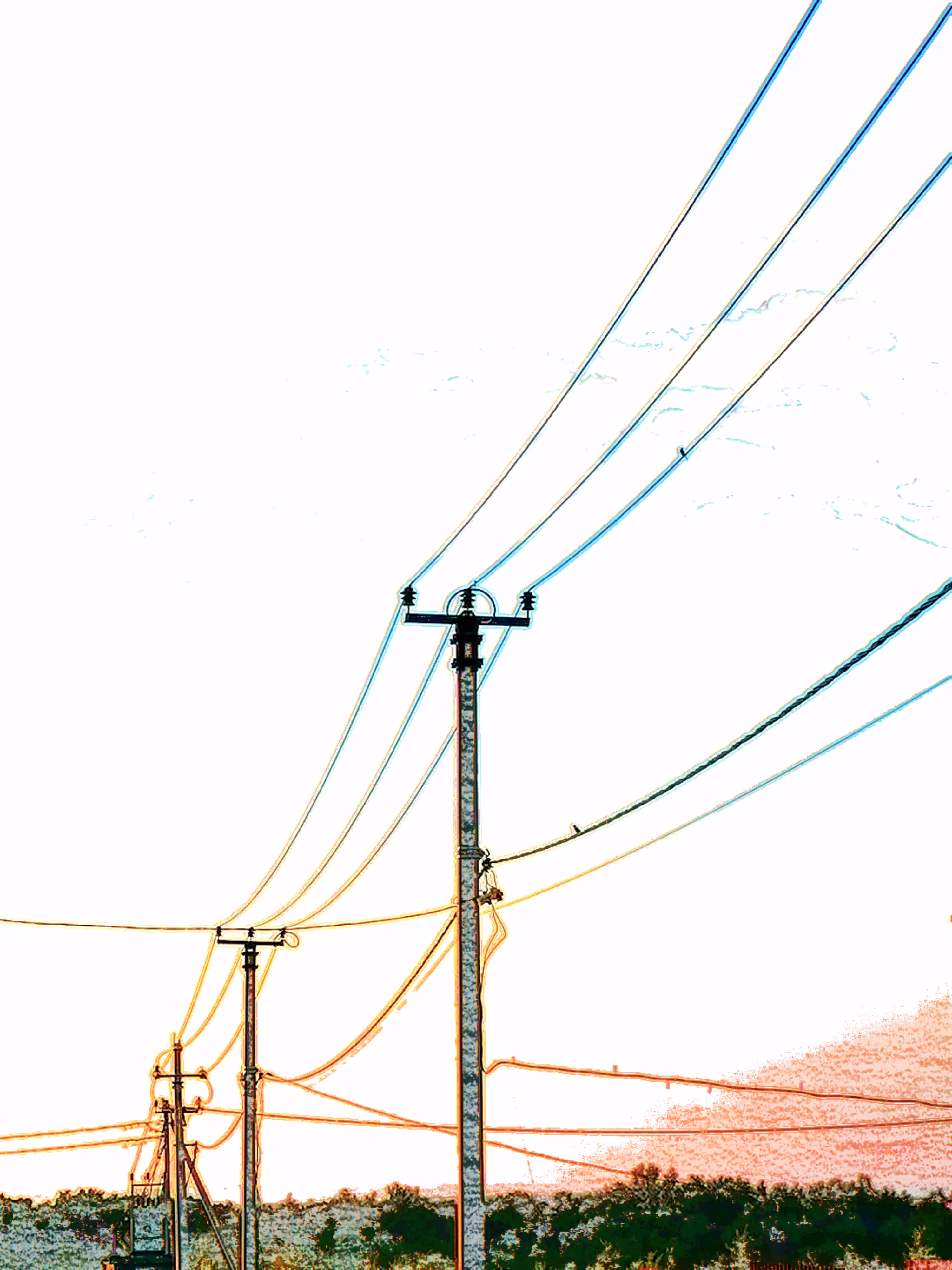Meeting with wires