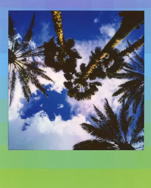 Palm Reading