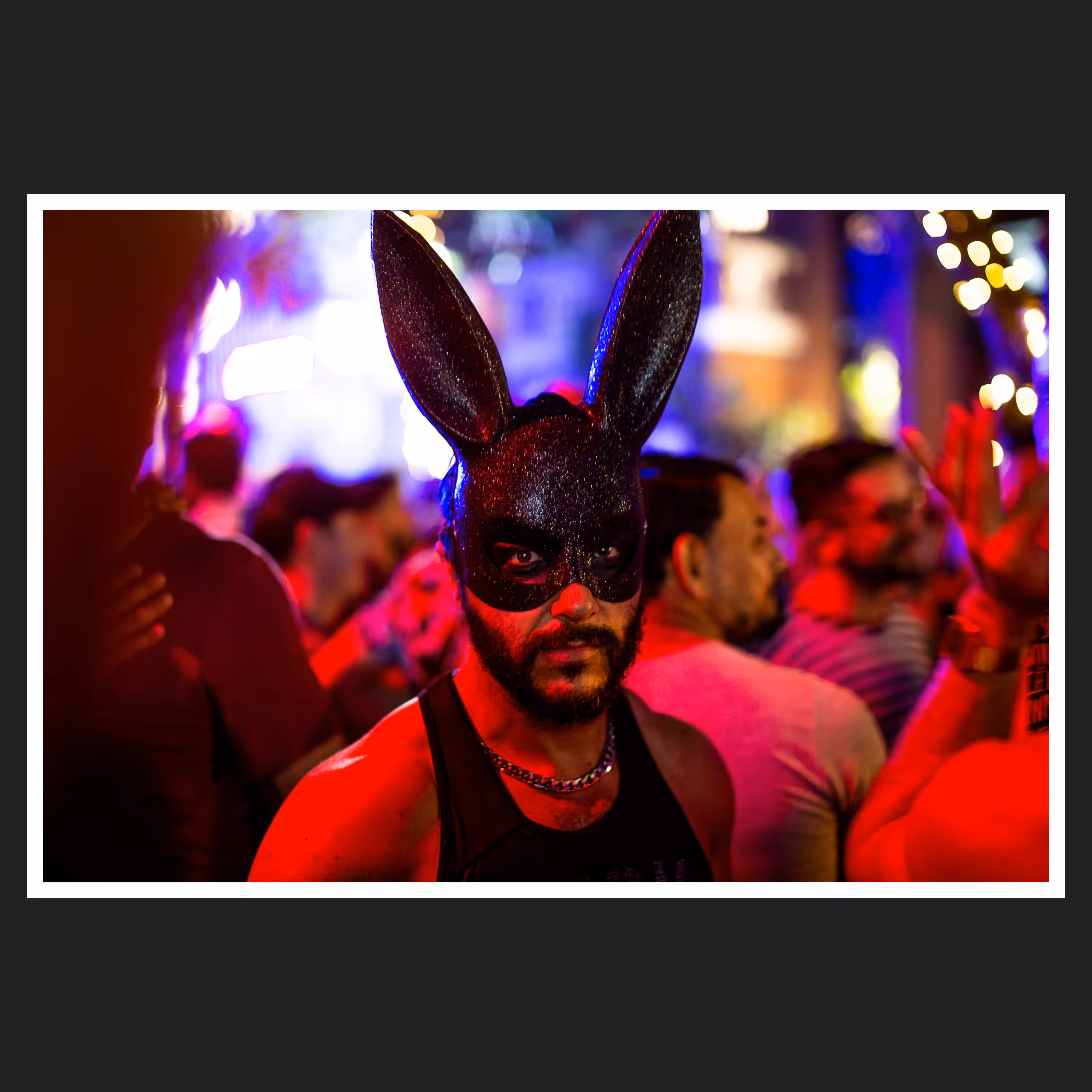 Dark rabbit