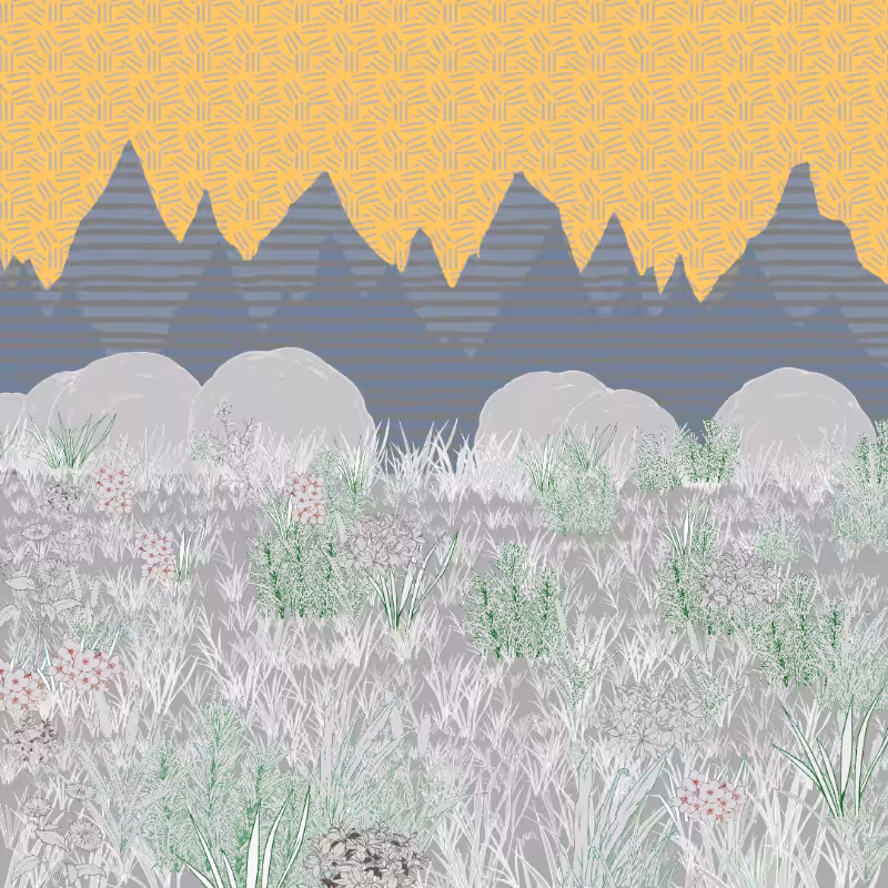 Mountain Meadows #54