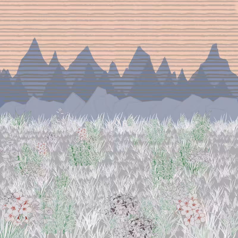 Mountain Meadows #1