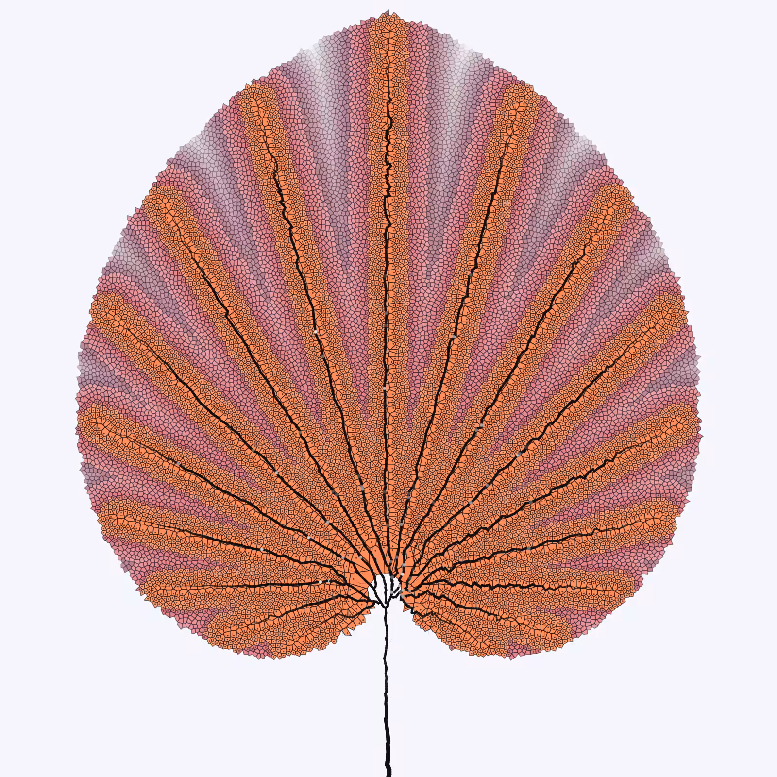 Leaf study #5