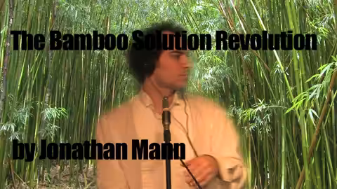 Bamboo Solutions | Song A Day #00224
