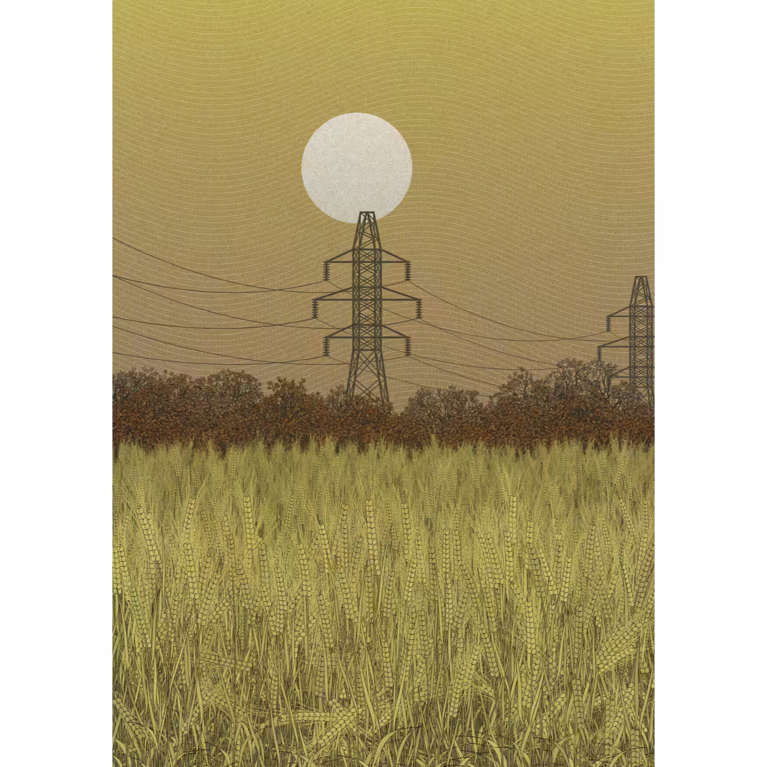 Fields of the Abandoned Homeland #45