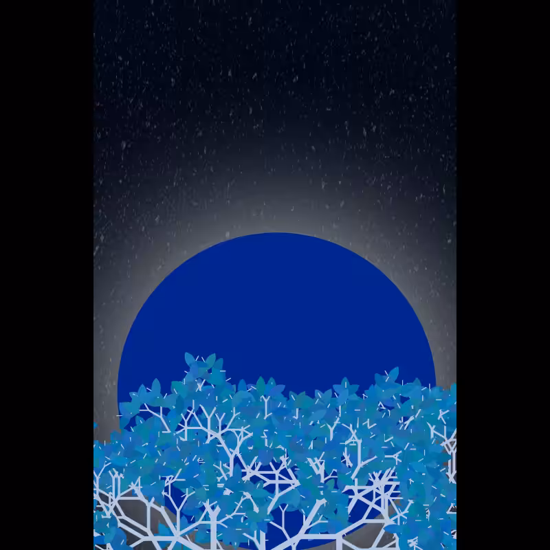 Moonlight Sonata #44