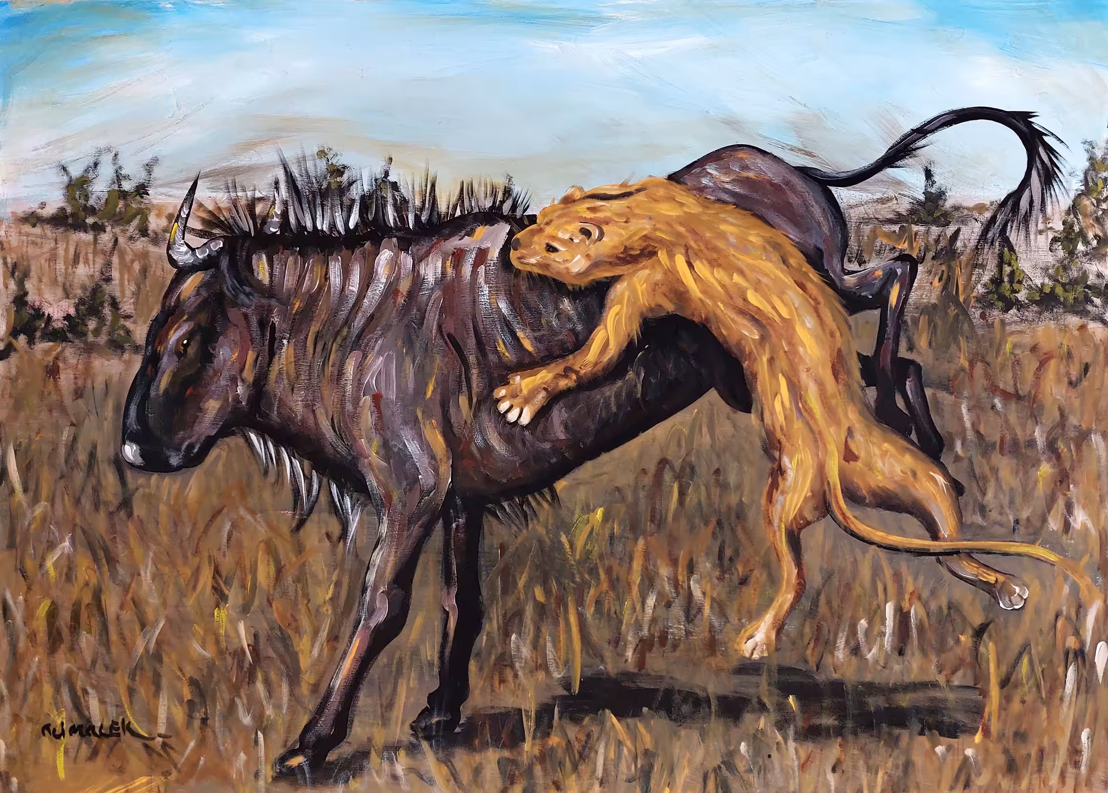 Lion King 