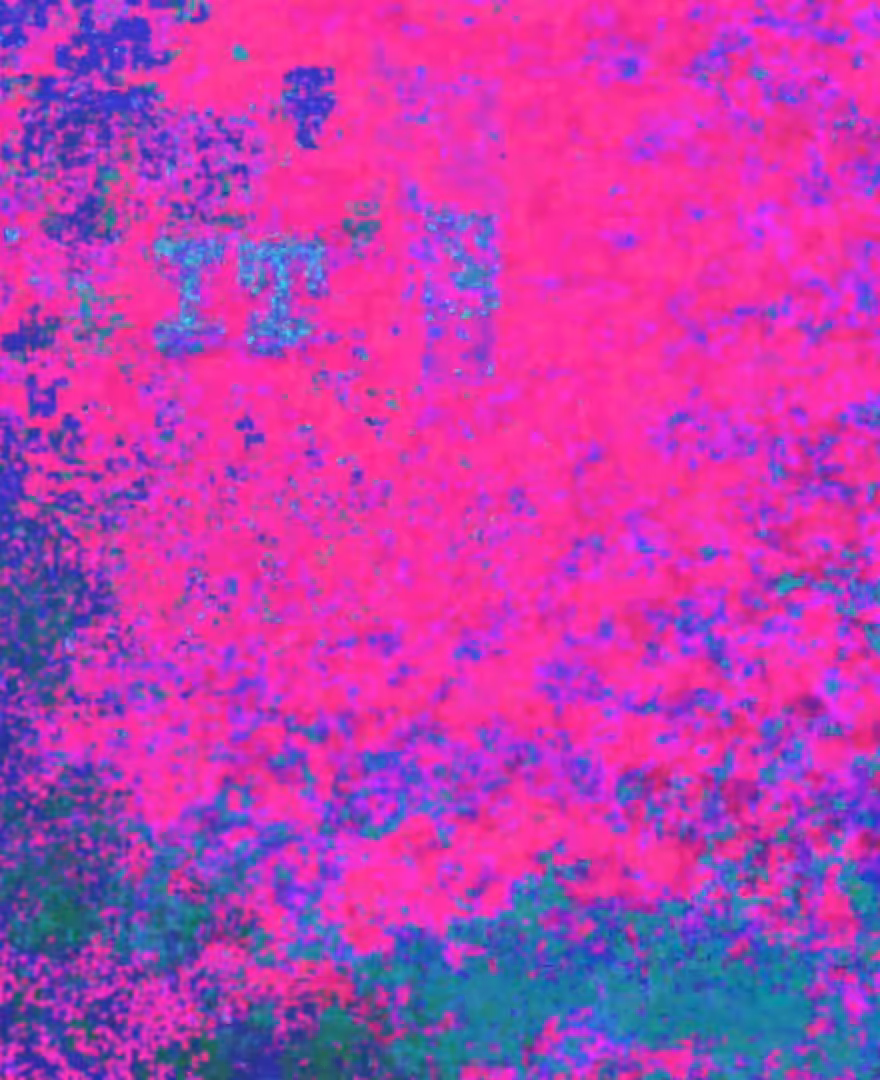 IT IS WHAT IT IS