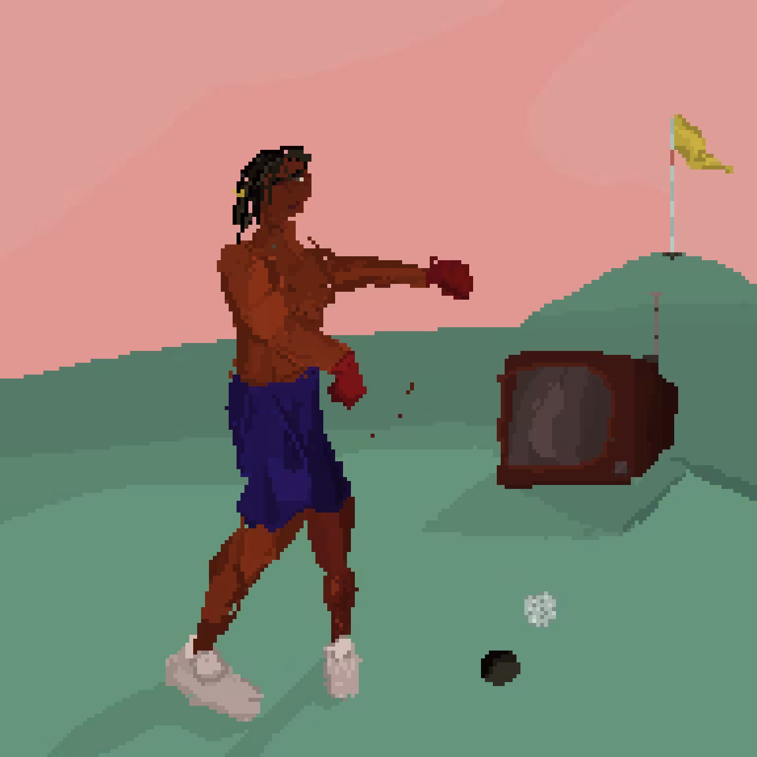 The Boxer