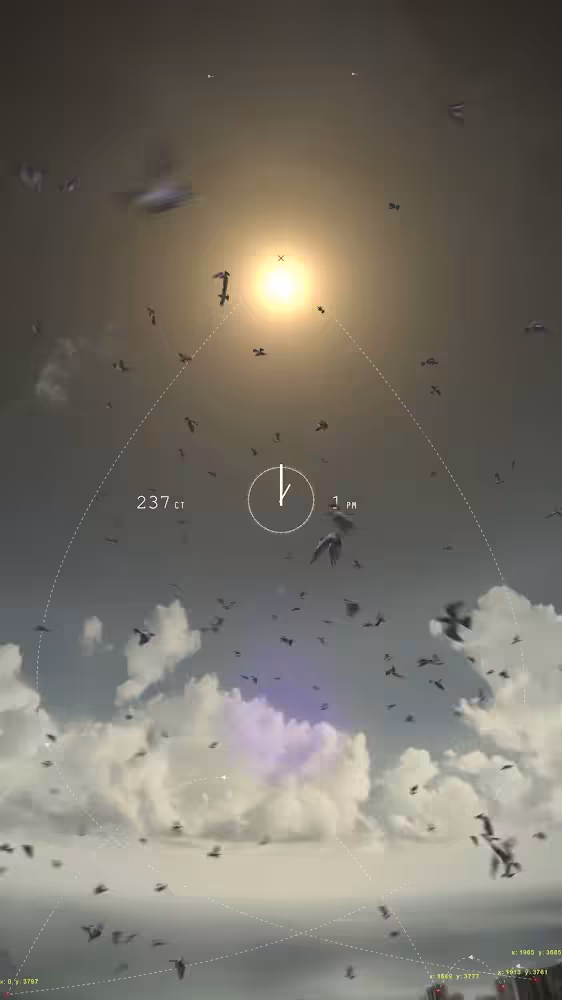 1 pm 237 birds