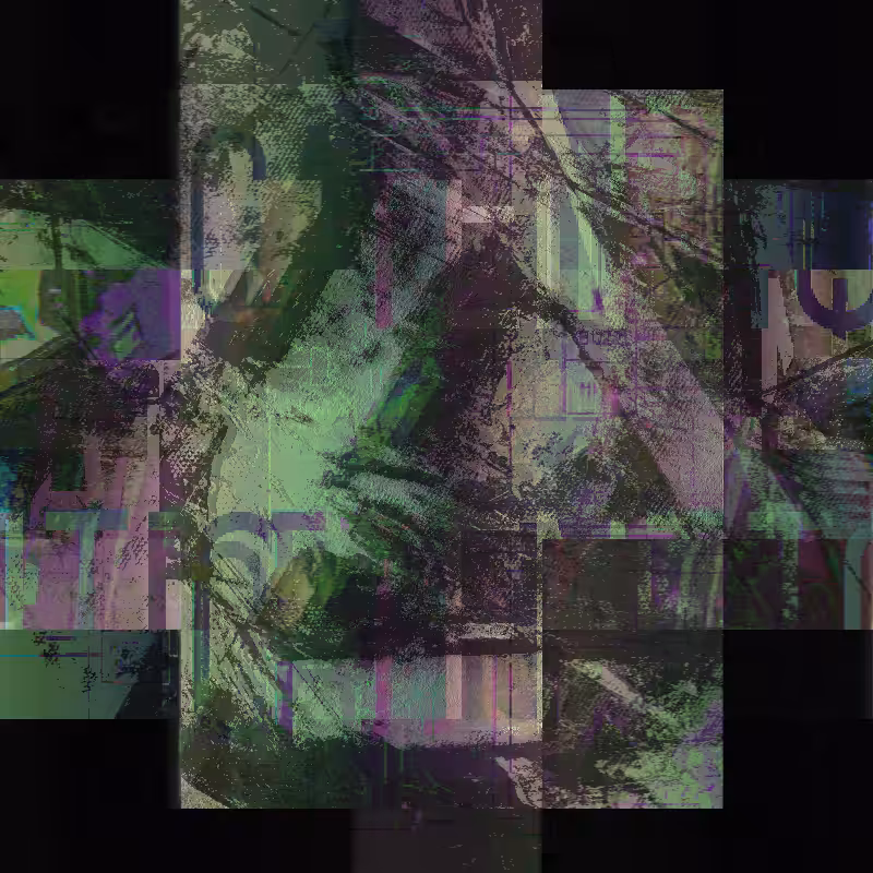 Pay attention to me beacause I make art #54