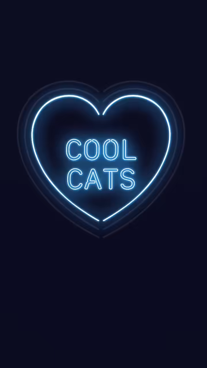 Cool Cats To The Moon !