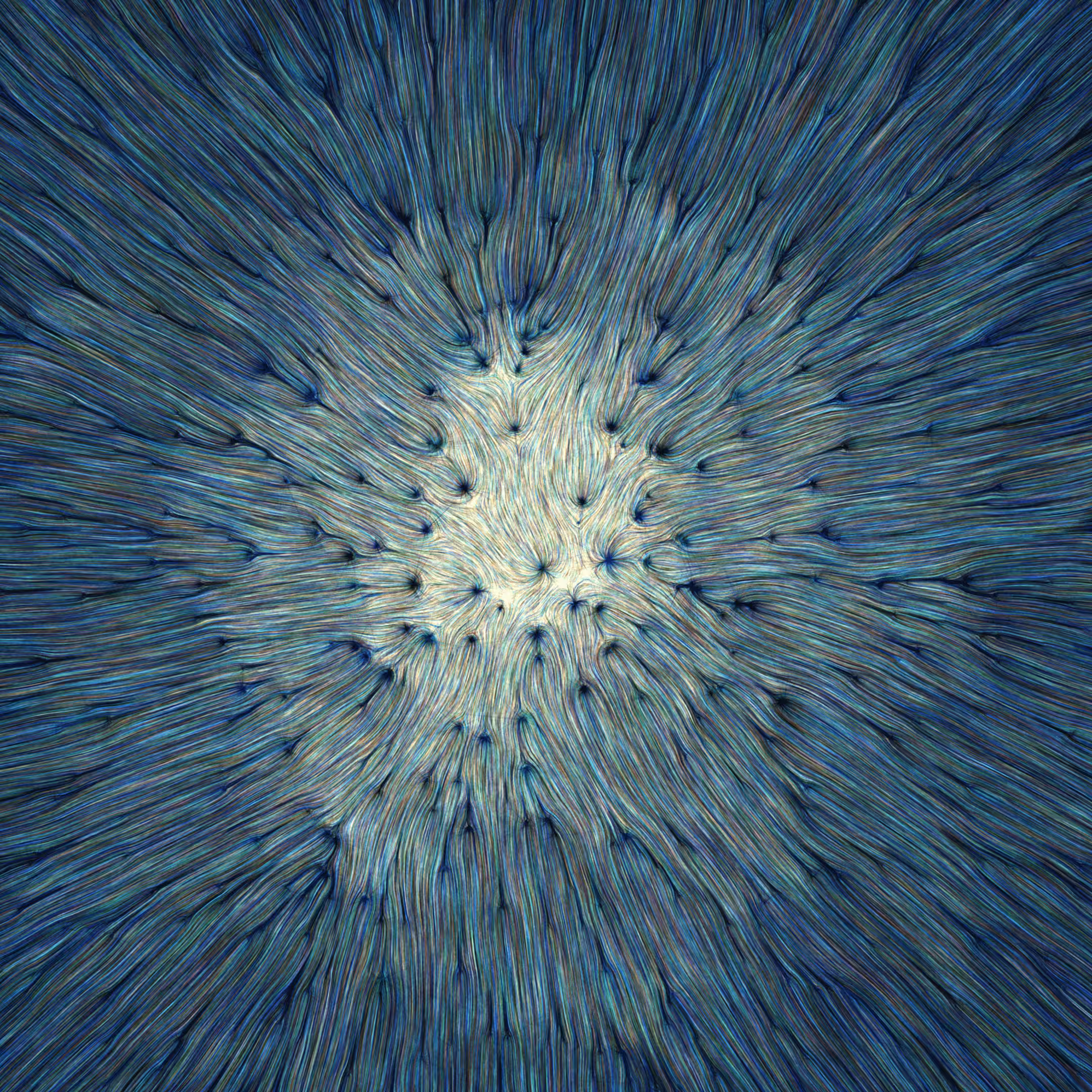 G12: Peacock Harris