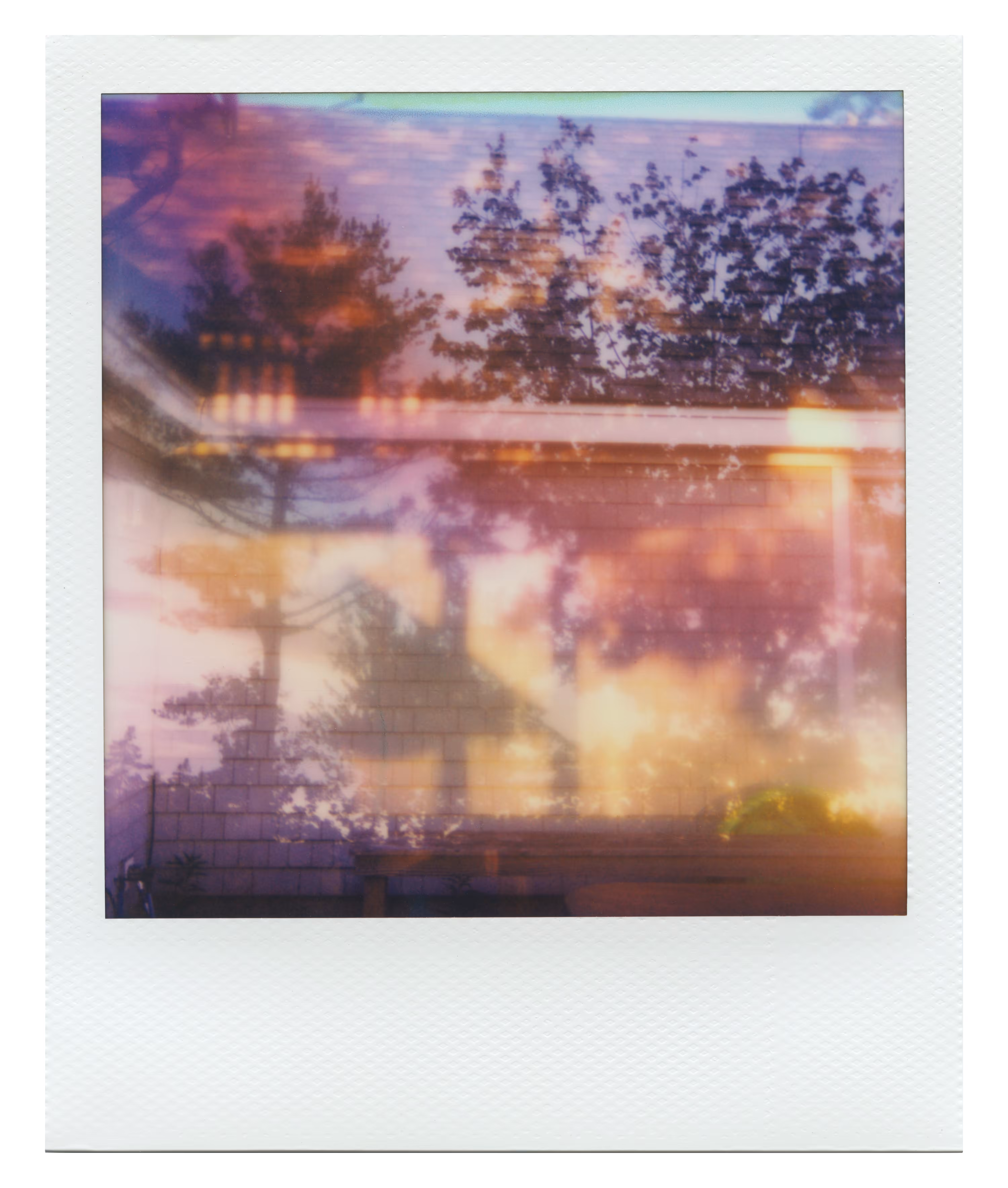 Endless Summer  |  15  | Manifestation