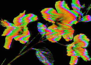 _f o r m s_: _deleted