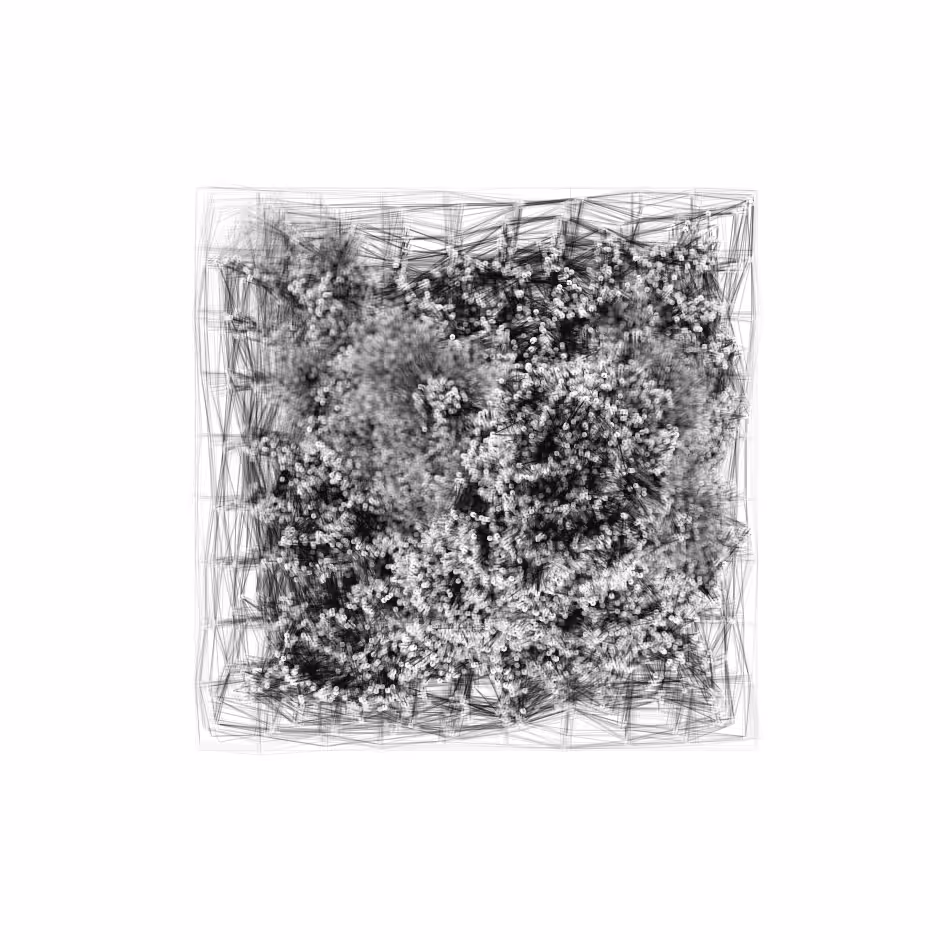 Growth 0225082147