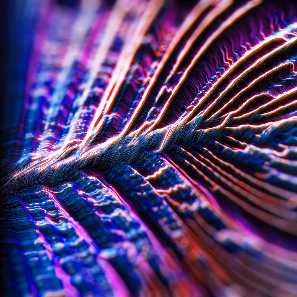 COMPUTER LEAF