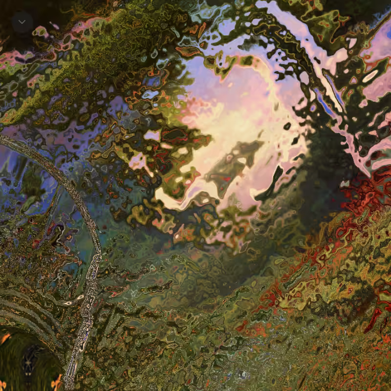 Fluid Landscapes #12