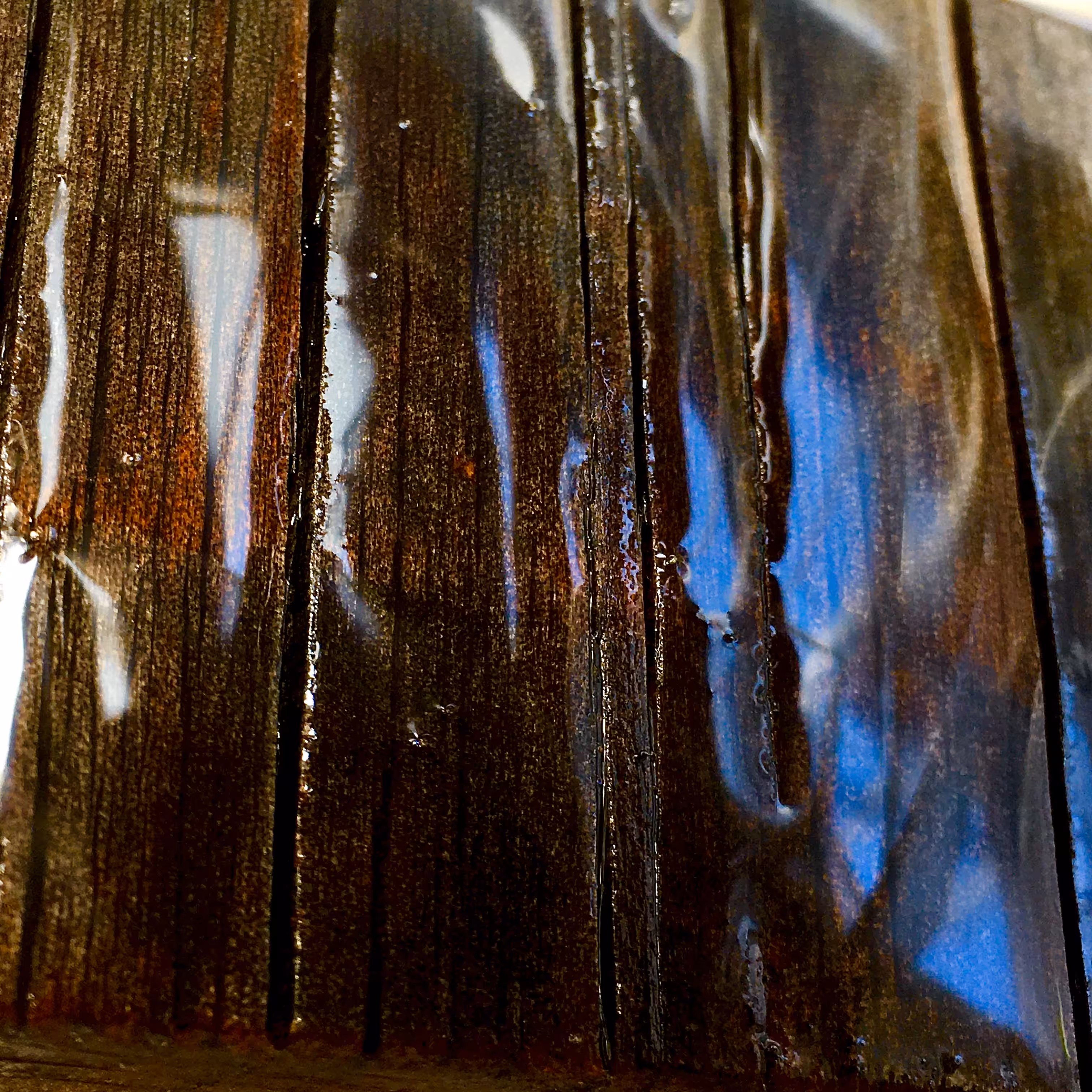 asepsis 1/3