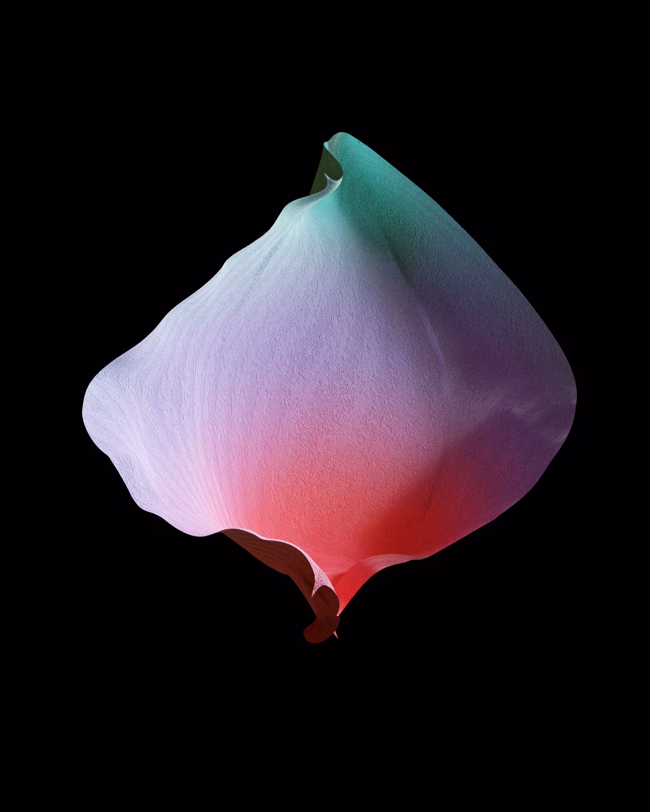 floral.002