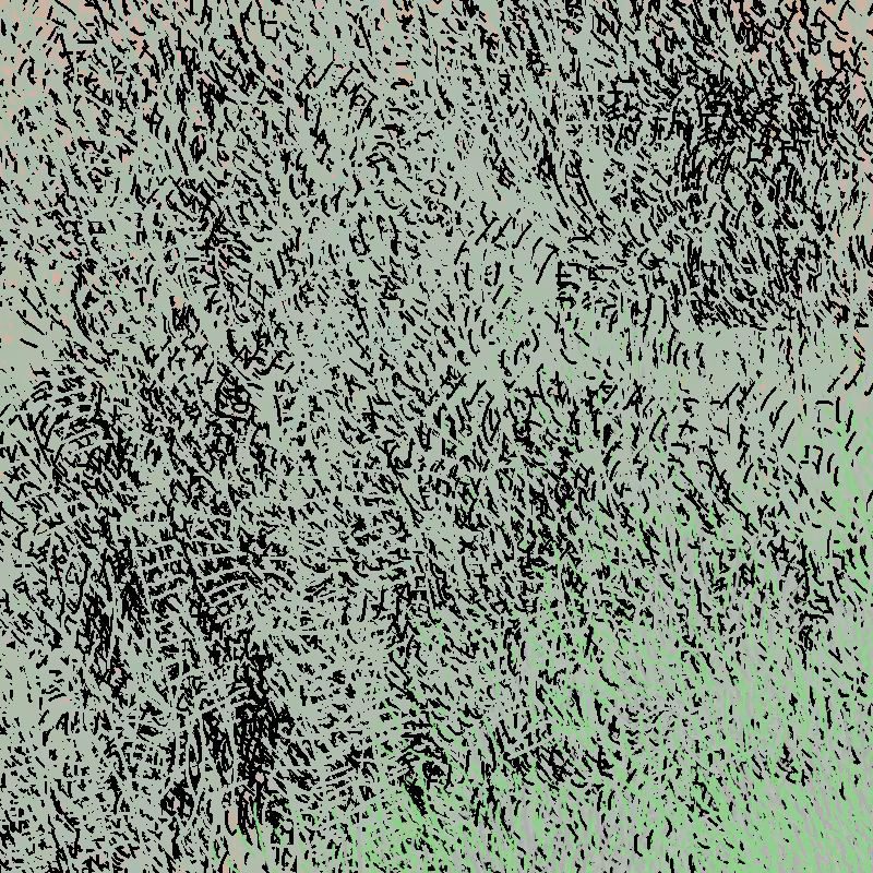 a bird worked on my painting #26