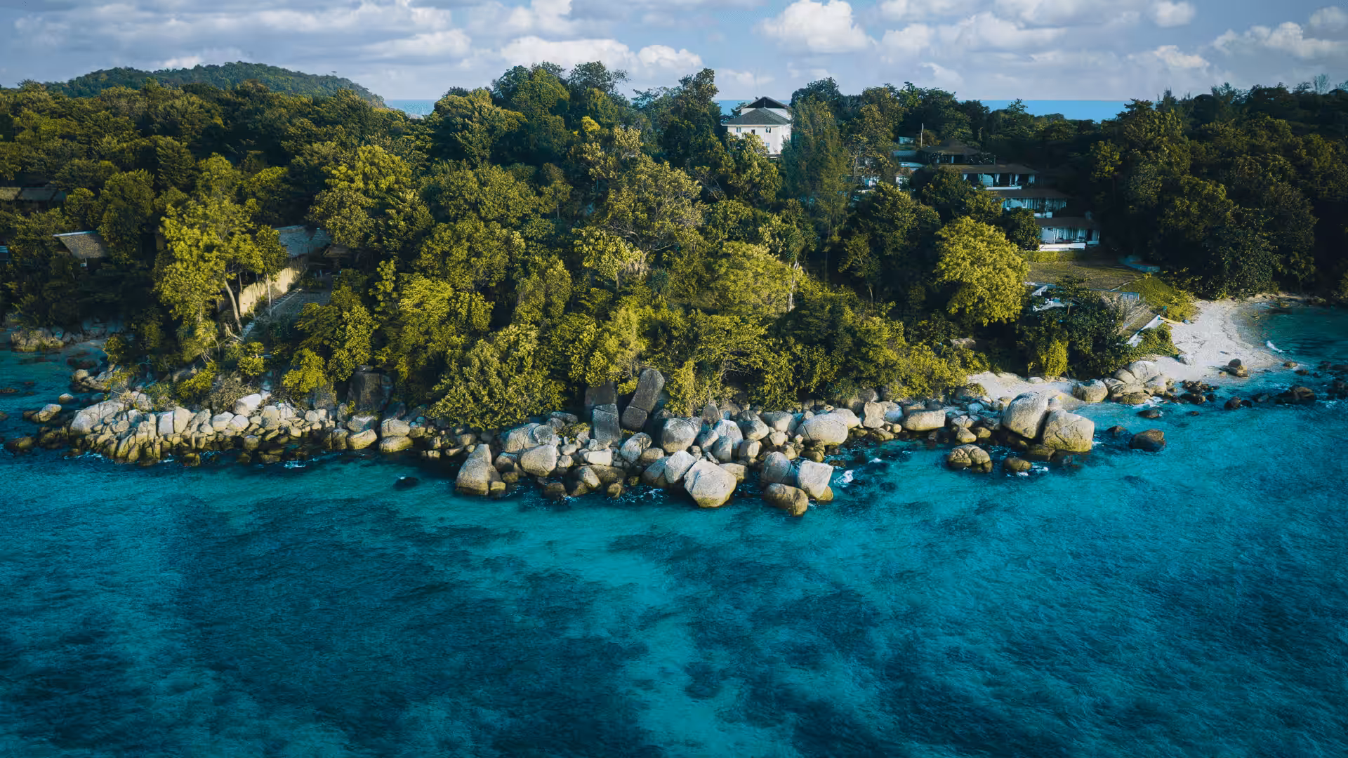 Tropical Vibes #3 ( Overview )