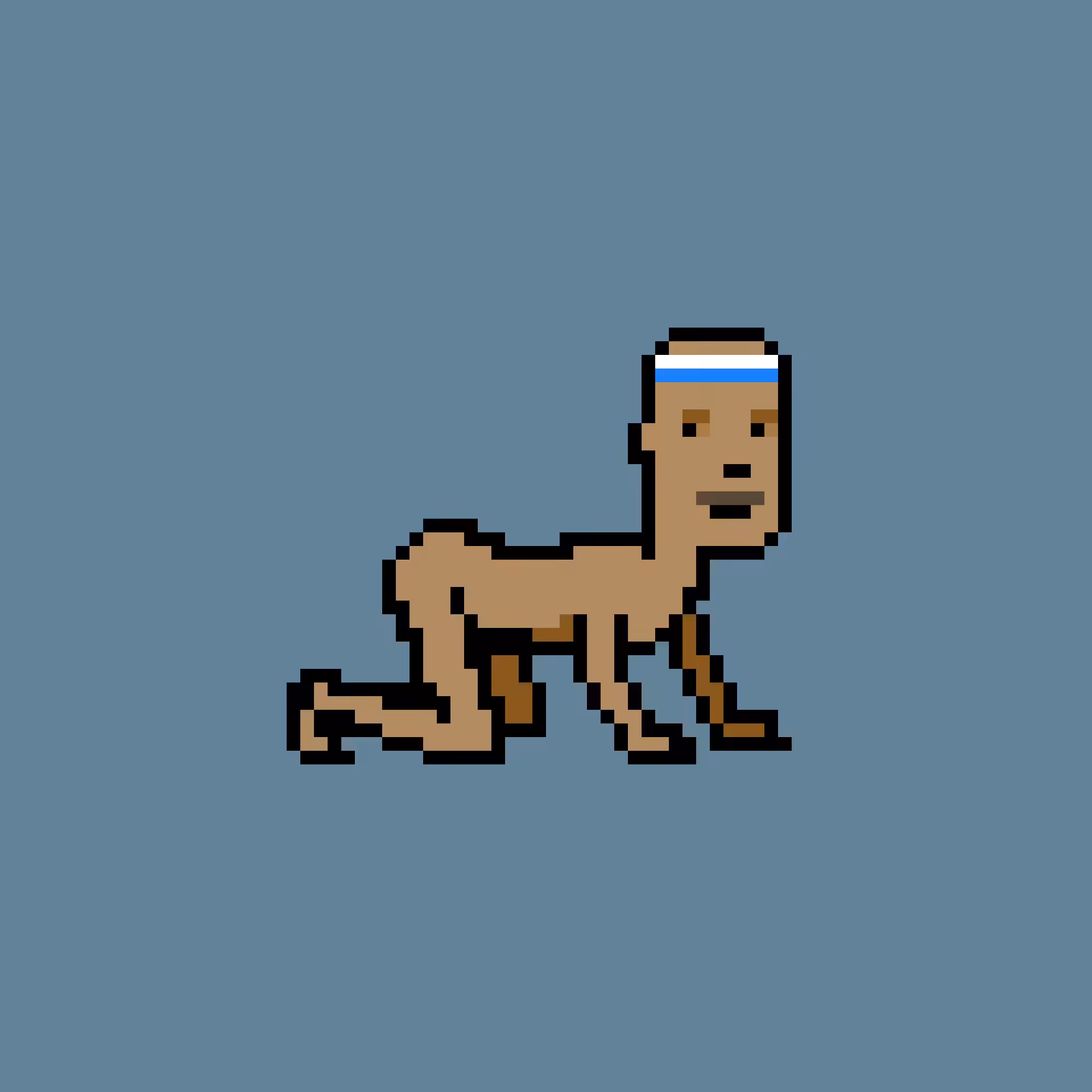 CrawlingPunks: CrawlingPunk #606