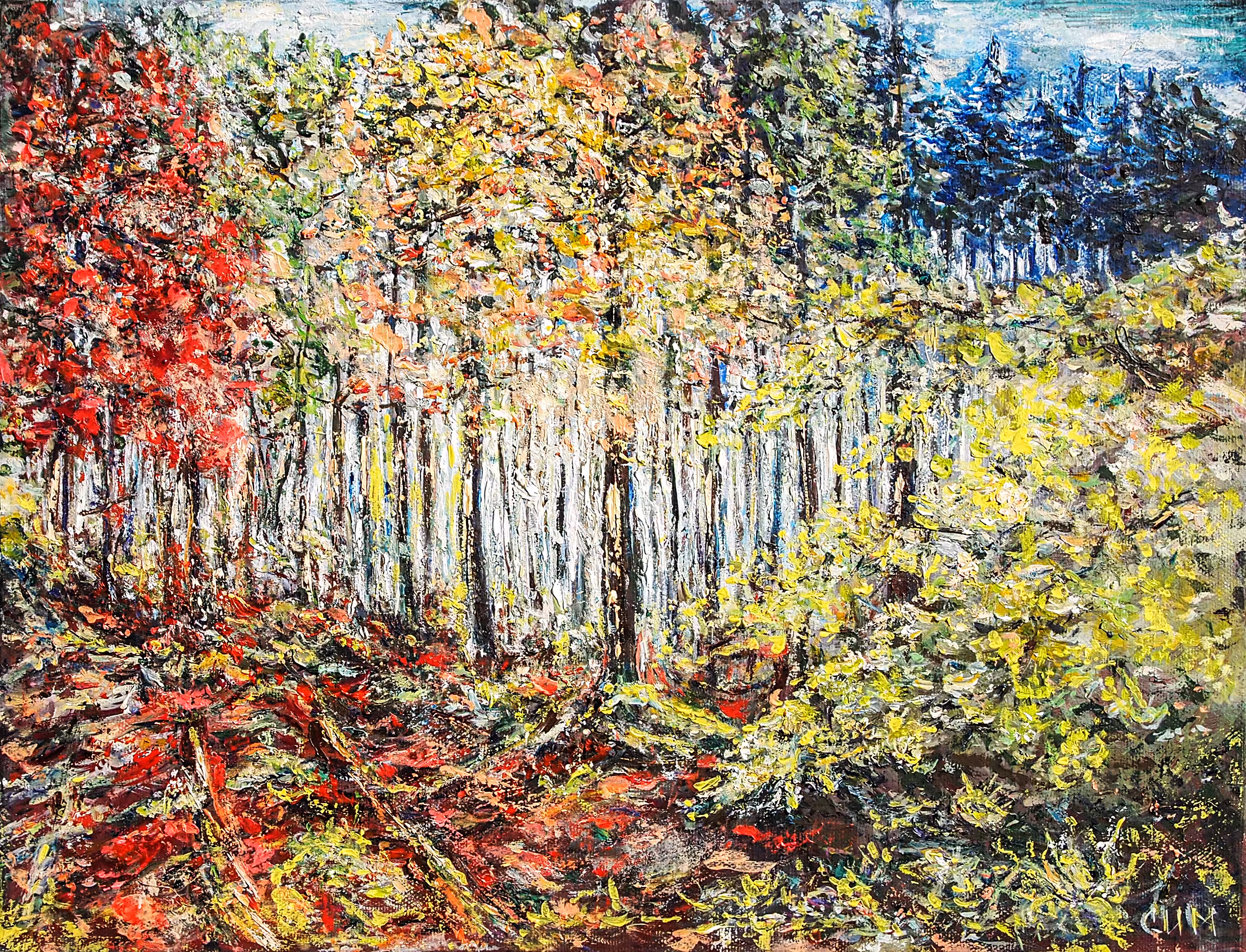 Fairy forest 3