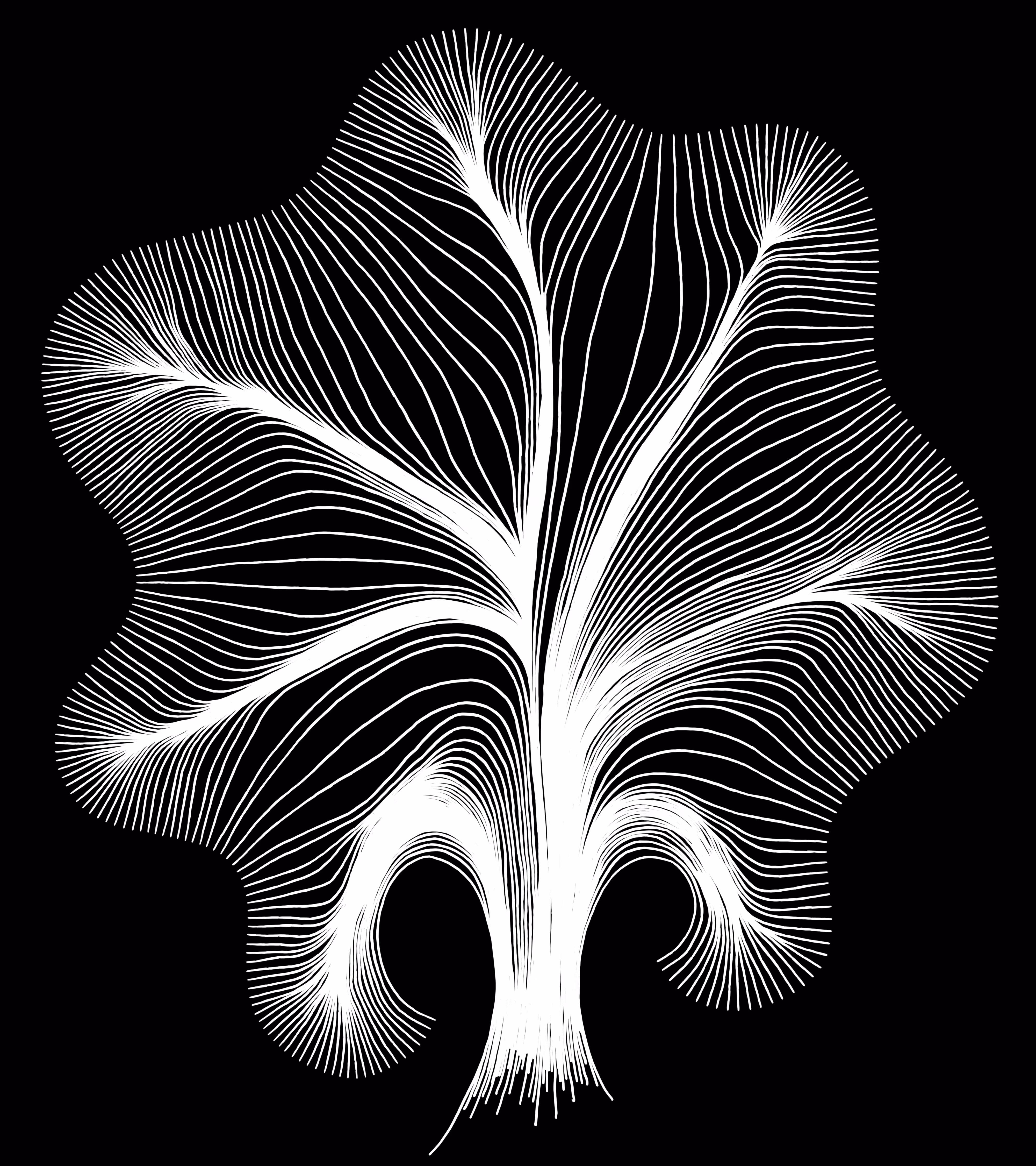 Vergence 2