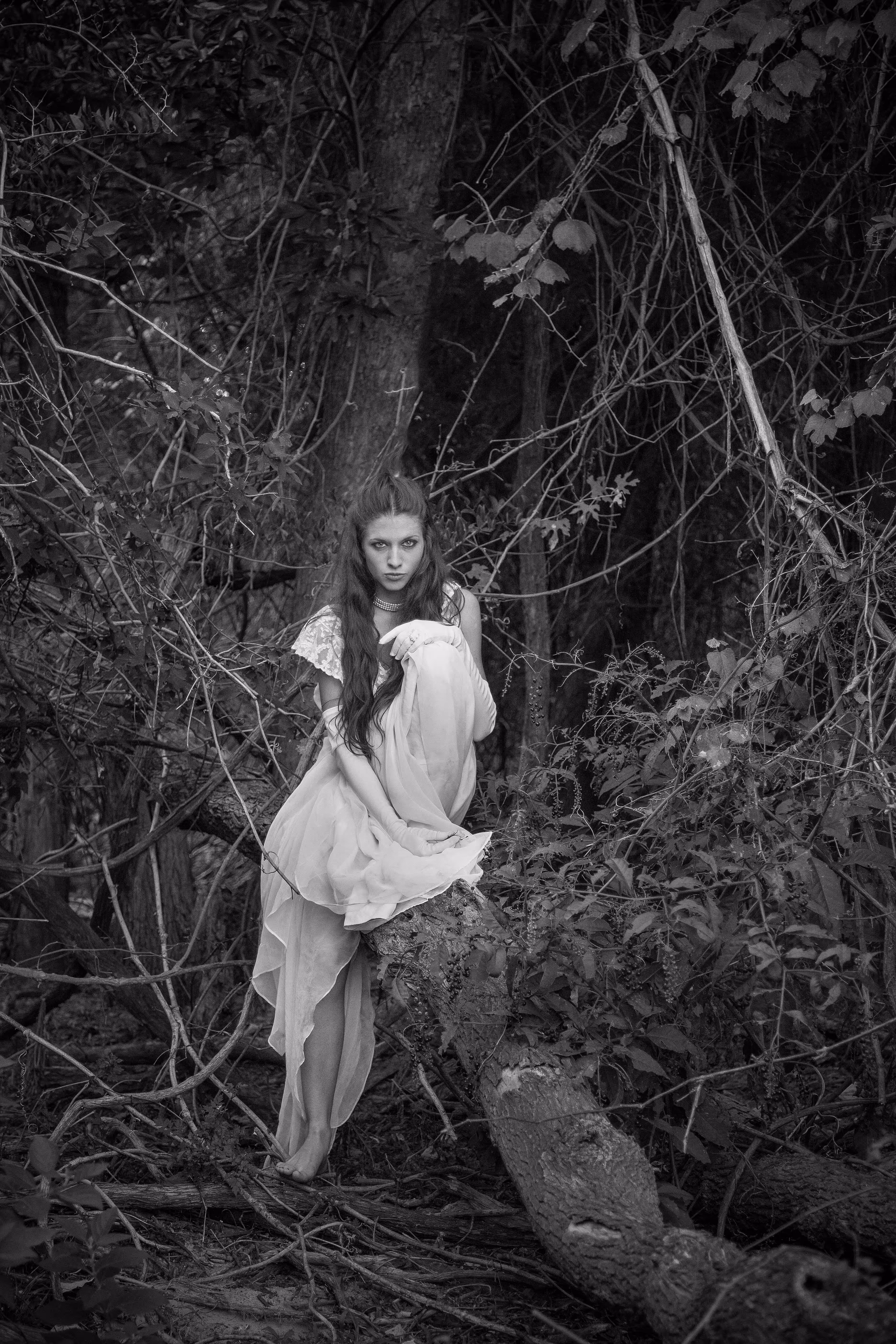 She Sits Upon a Fallen Branch