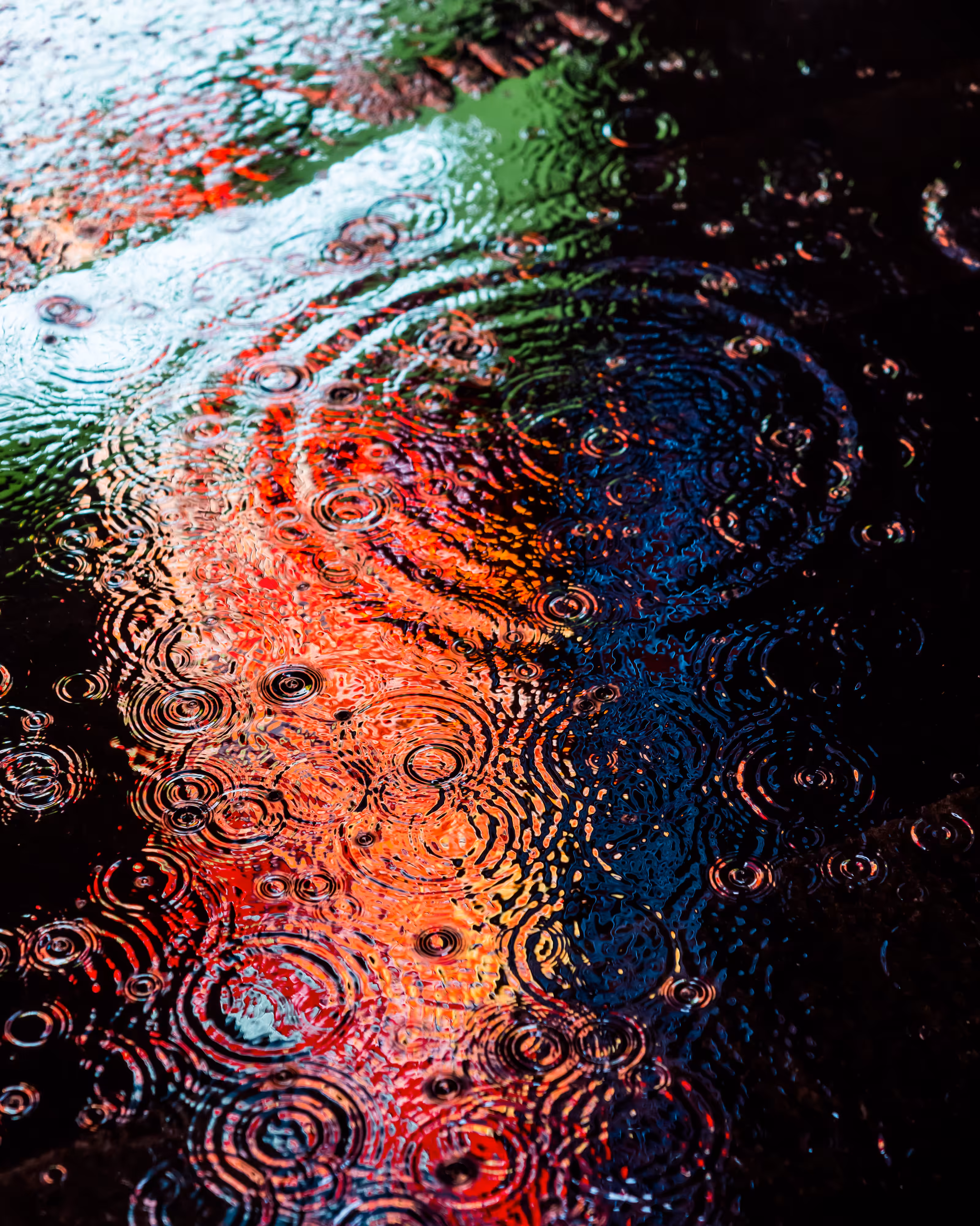 DRIP DROP: DRIP #231
