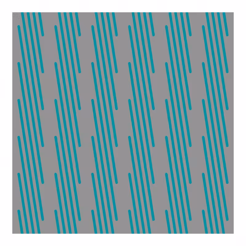 FLATWORLD #492