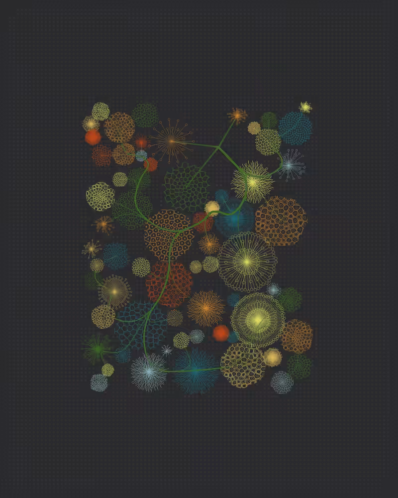 Florilegium #117
