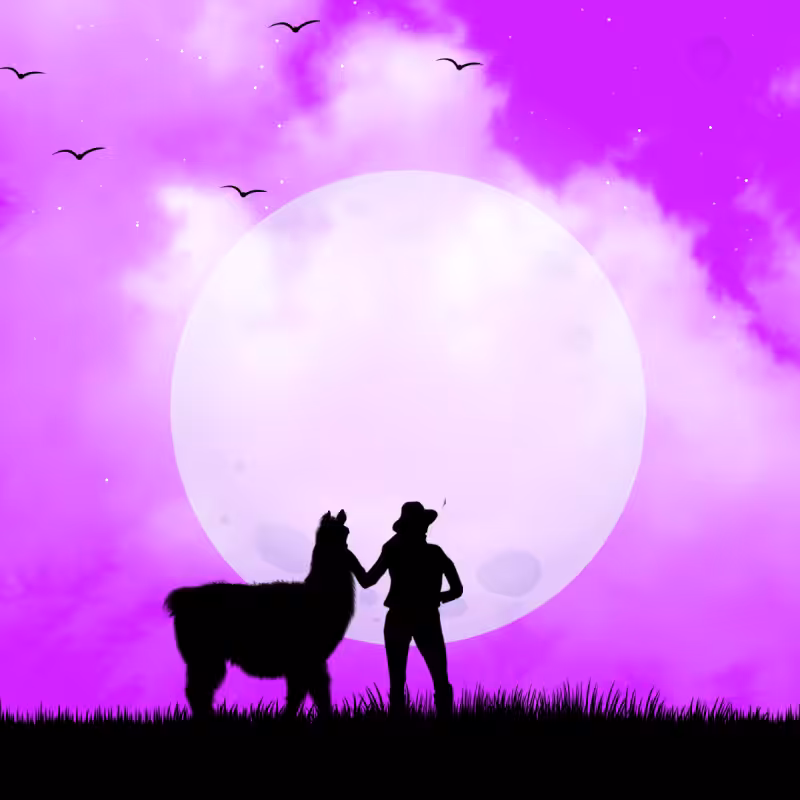 We Care...Llama #1
