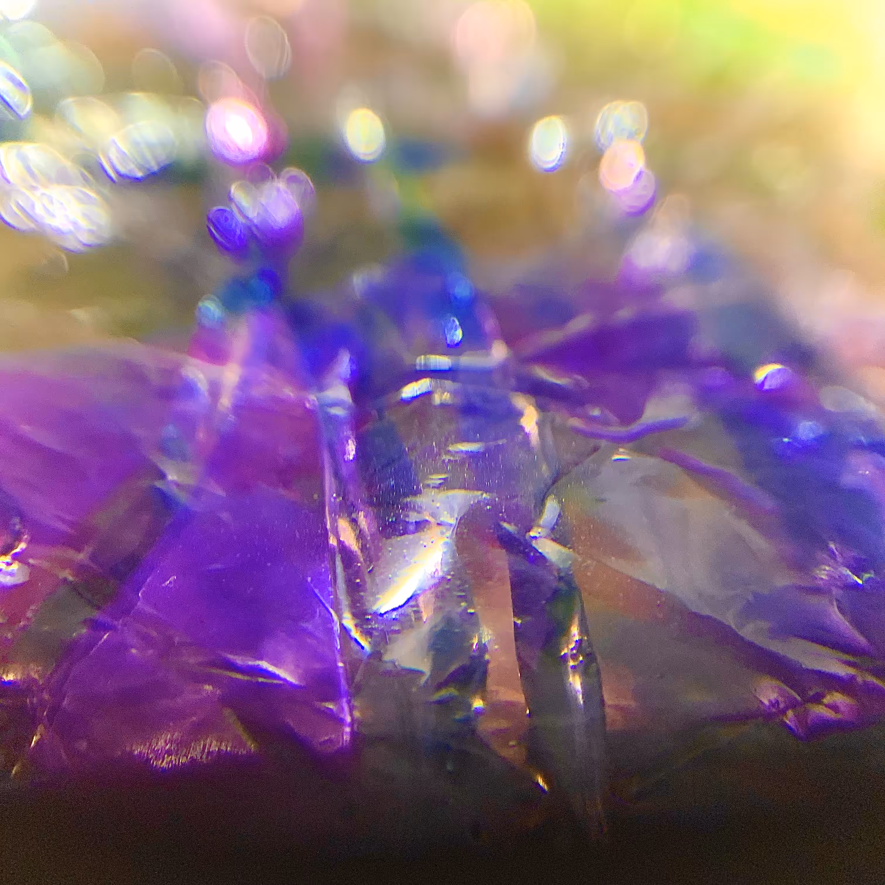 structuralMass 3of5