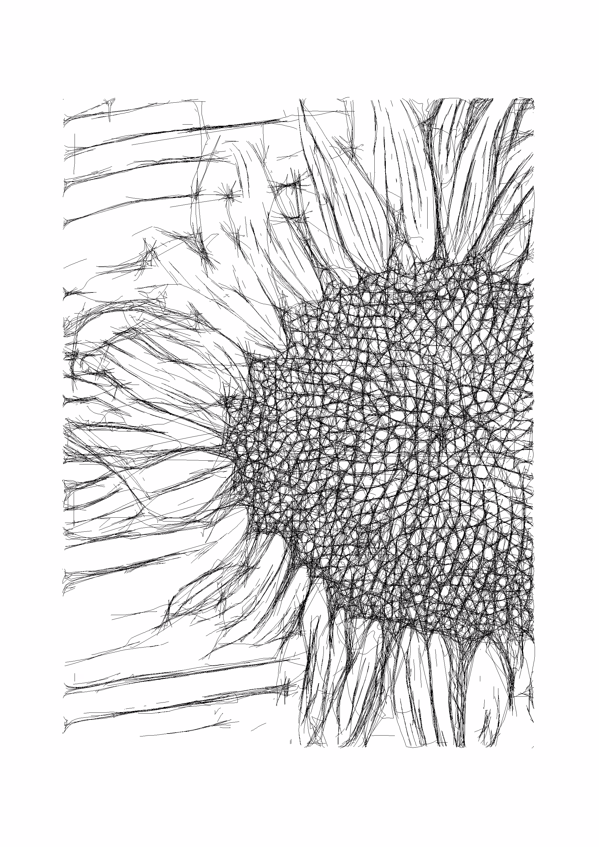 Sun flower